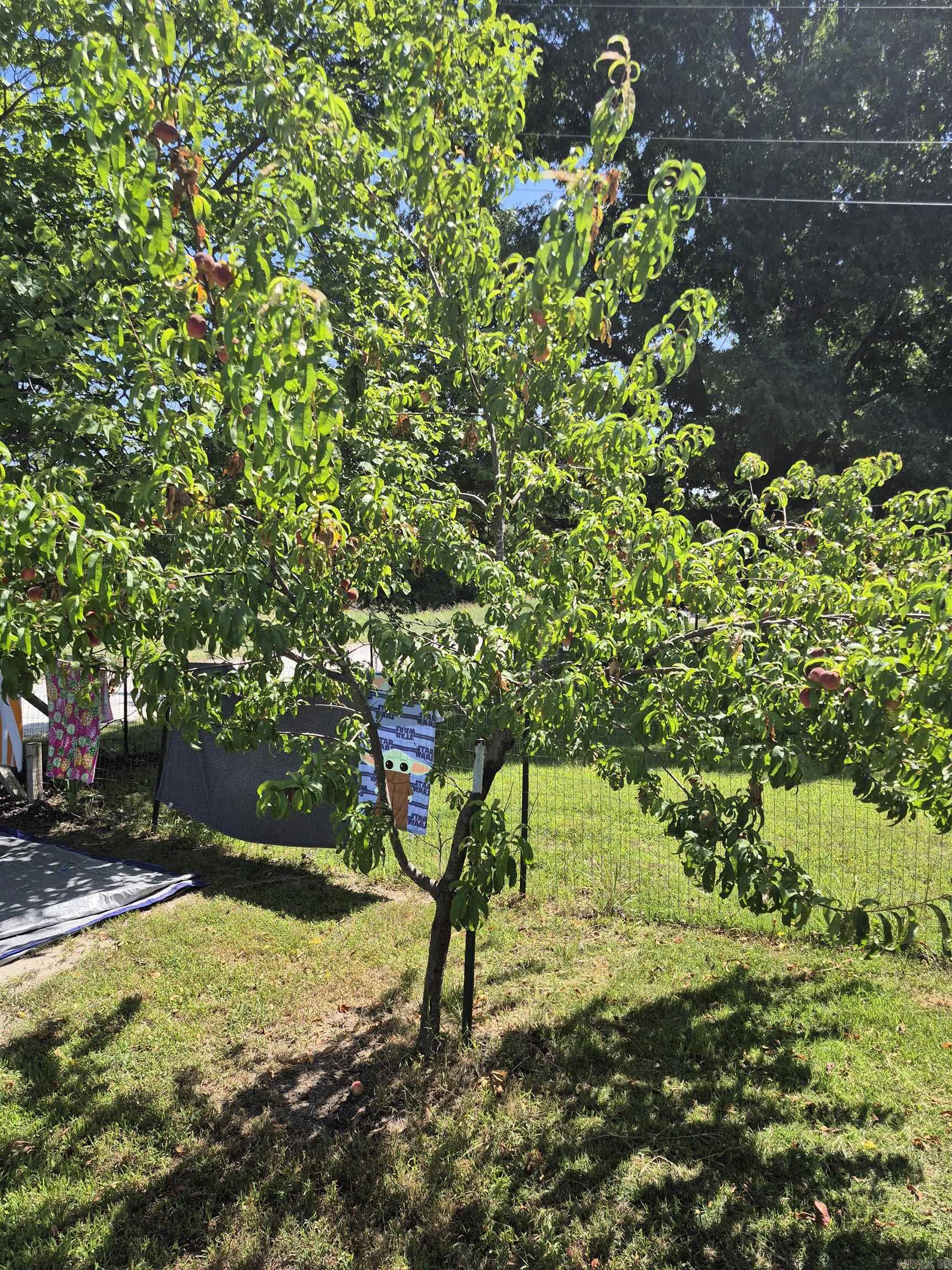 3295 Cozahome Rd  Harriet, AR