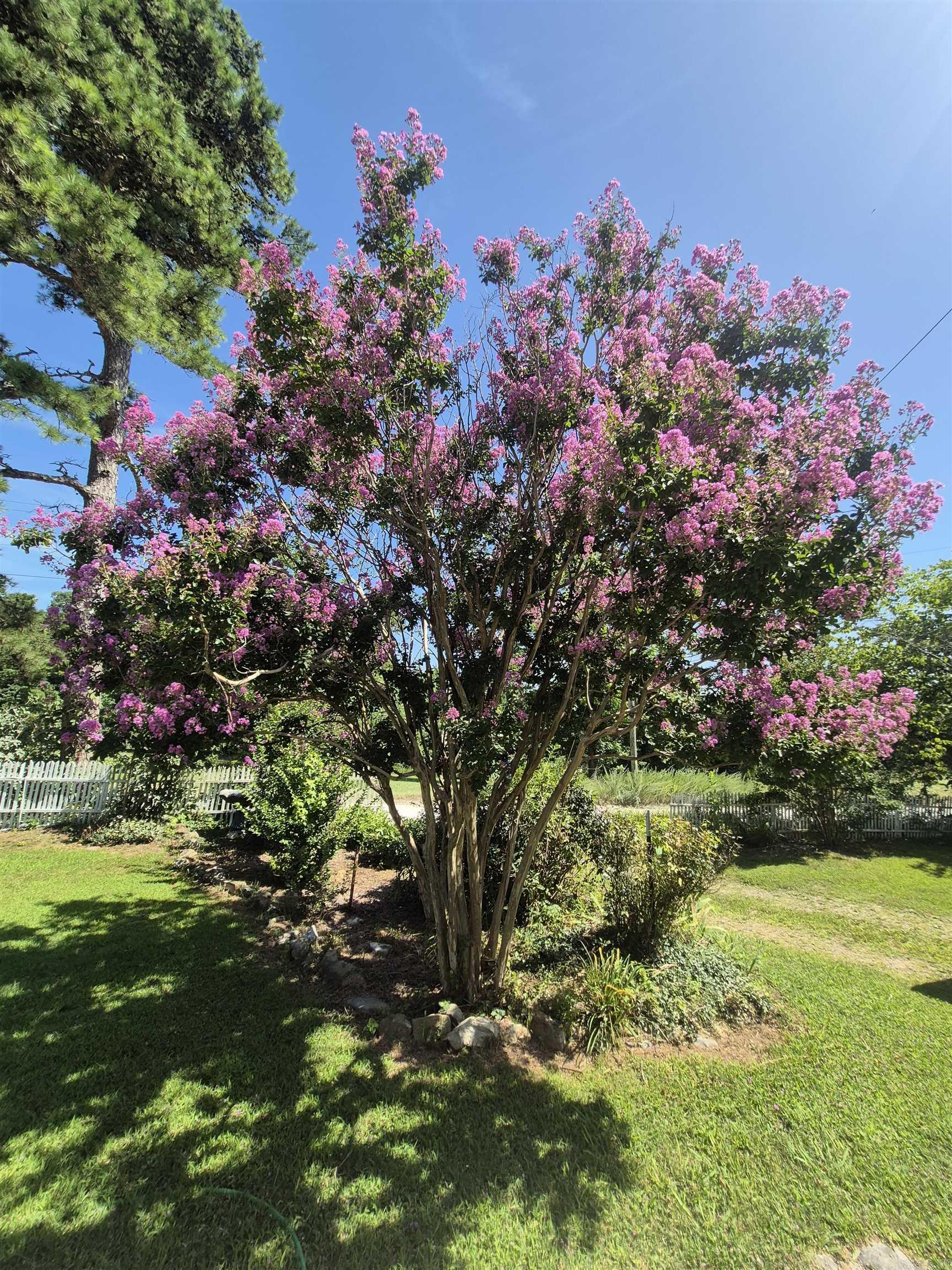 3295 Cozahome Rd  Harriet, AR