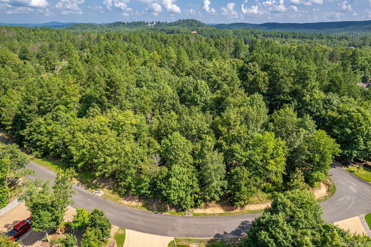 20&22 Ventoso Lane  Hot Springs Village, AR