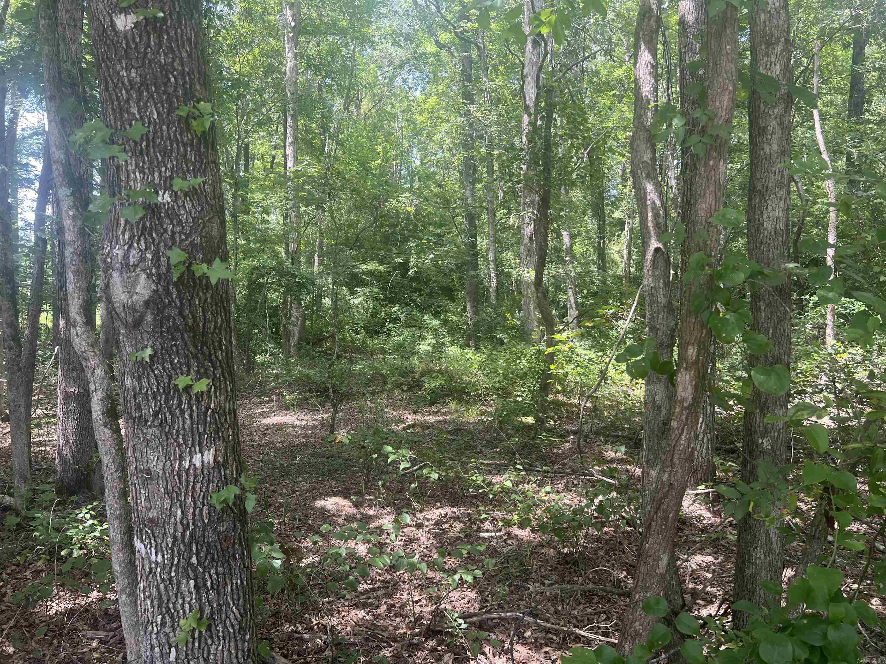 00 Dixon Ln  Pine Bluff, AR