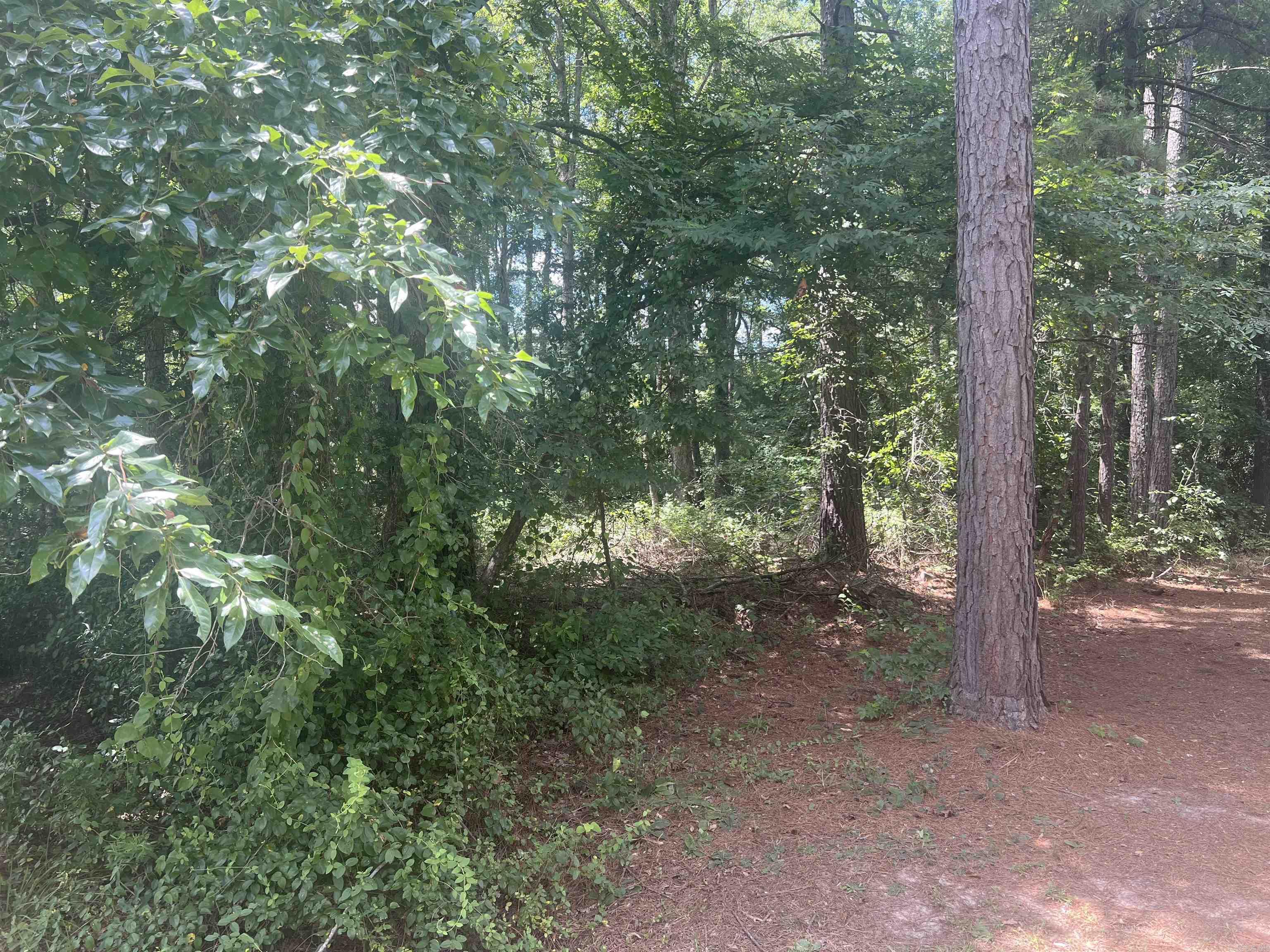 00 Dixon Ln  Pine Bluff, AR