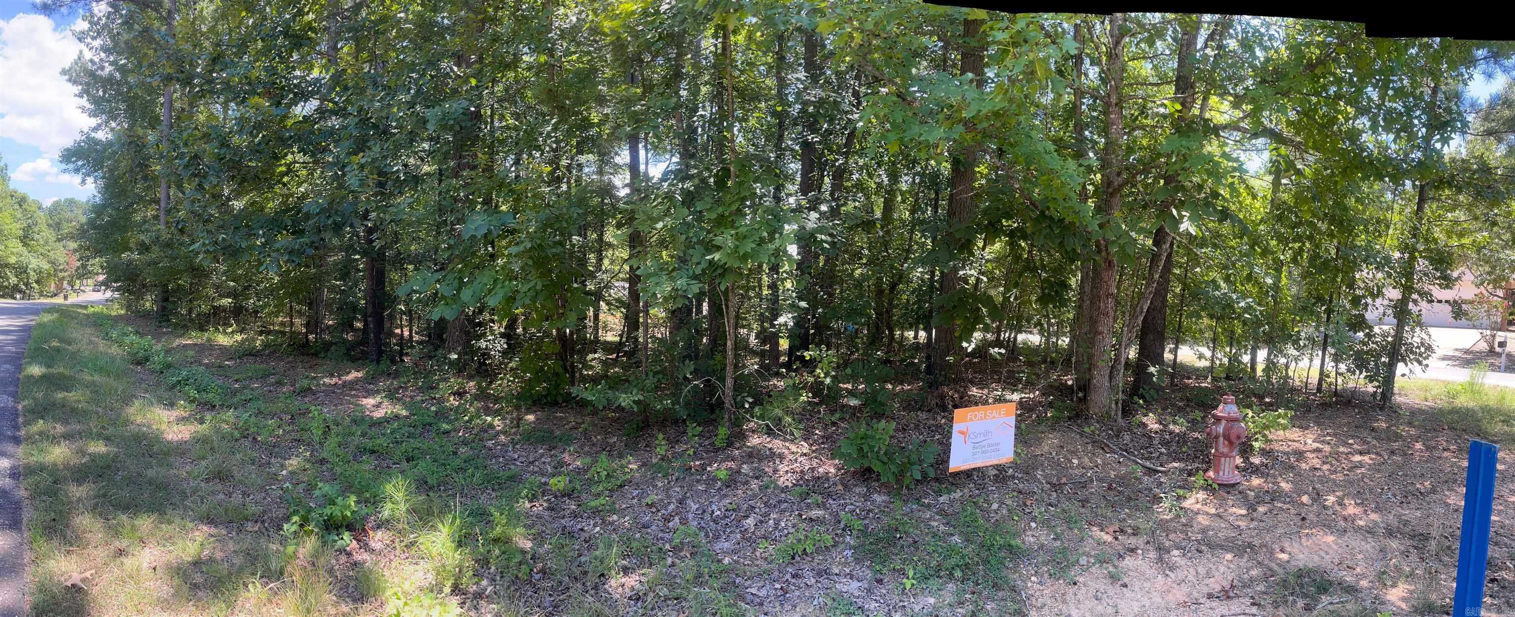  Panorama  Hot Springs Village, AR