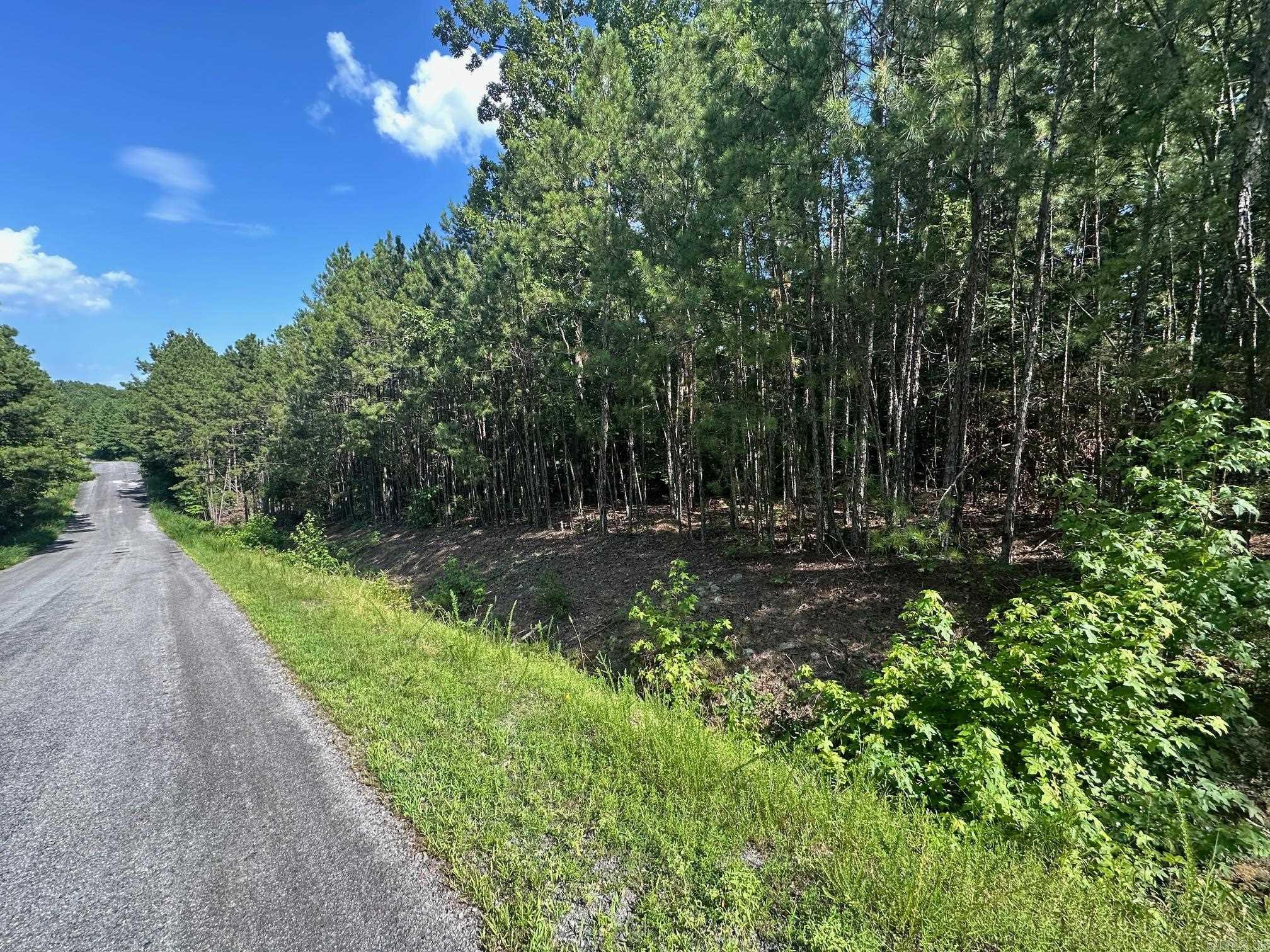 TBD Tract 3 Cobalt Bay  Shirley, AR