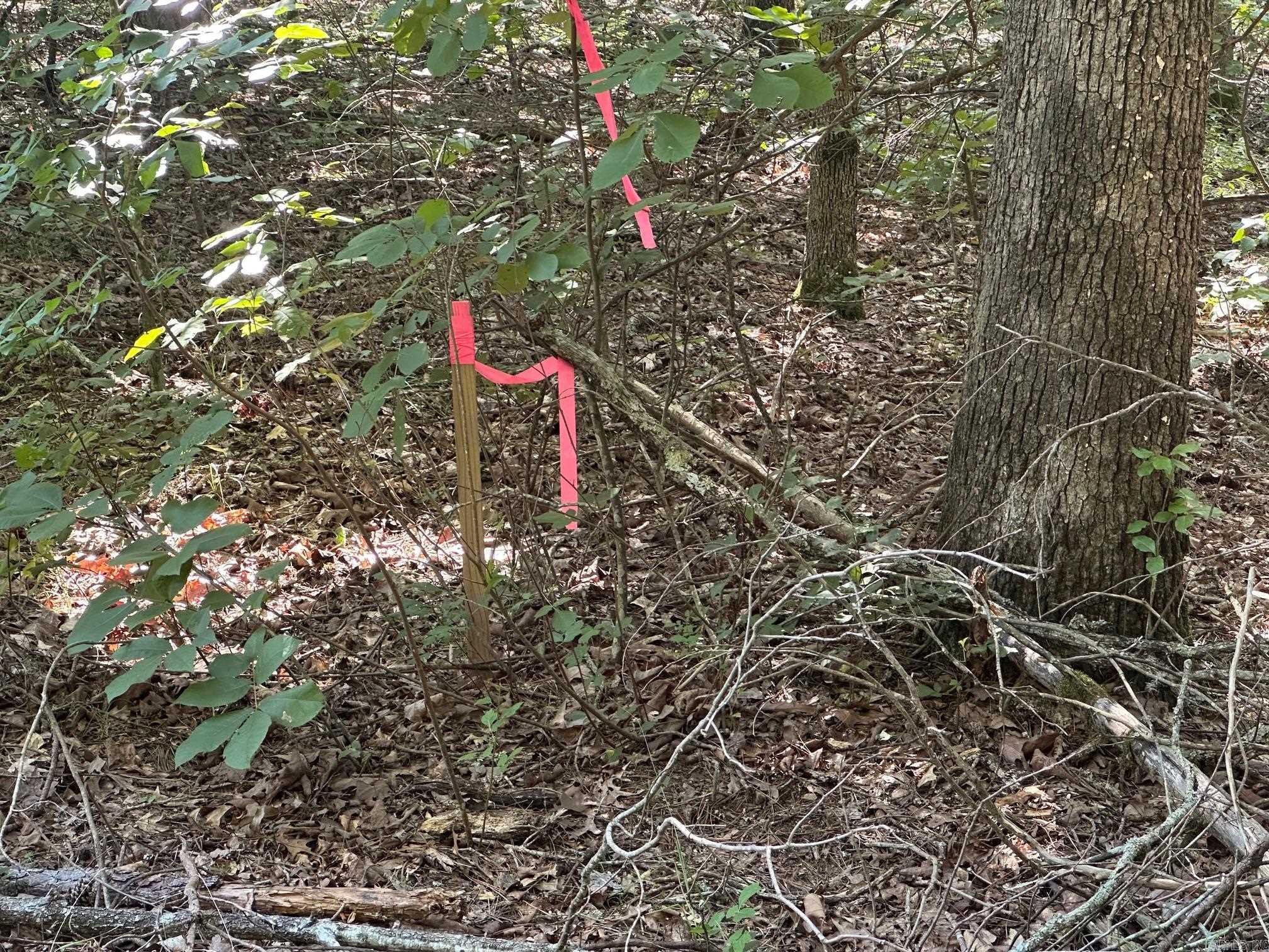 TBD Tract 3 Cobalt Bay  Shirley, AR