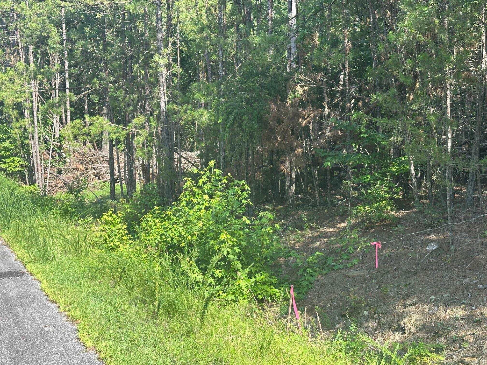 TBD Tract 3 Cobalt Bay  Shirley, AR