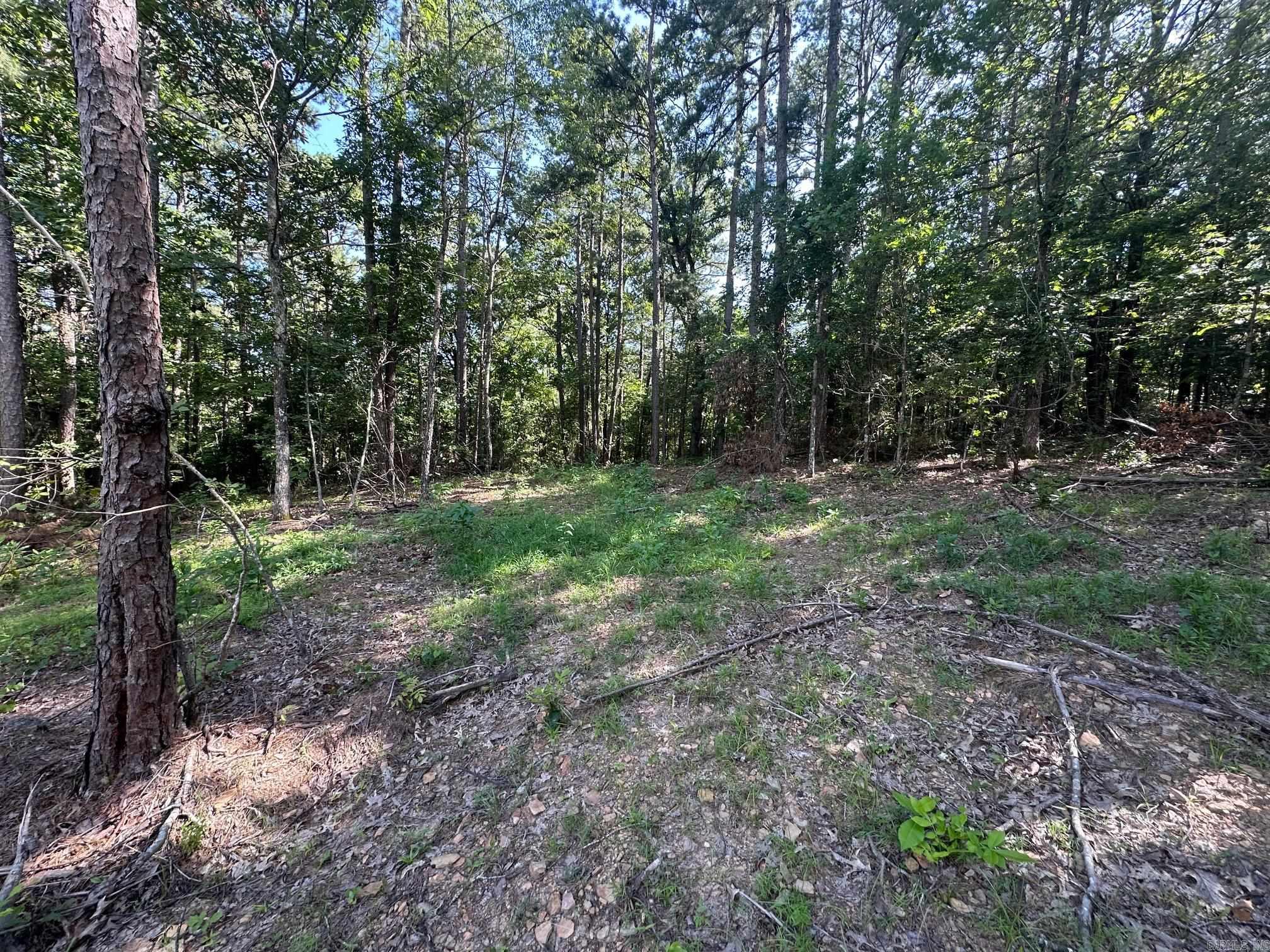 TBD Tract 3 Cobalt Bay  Shirley, AR