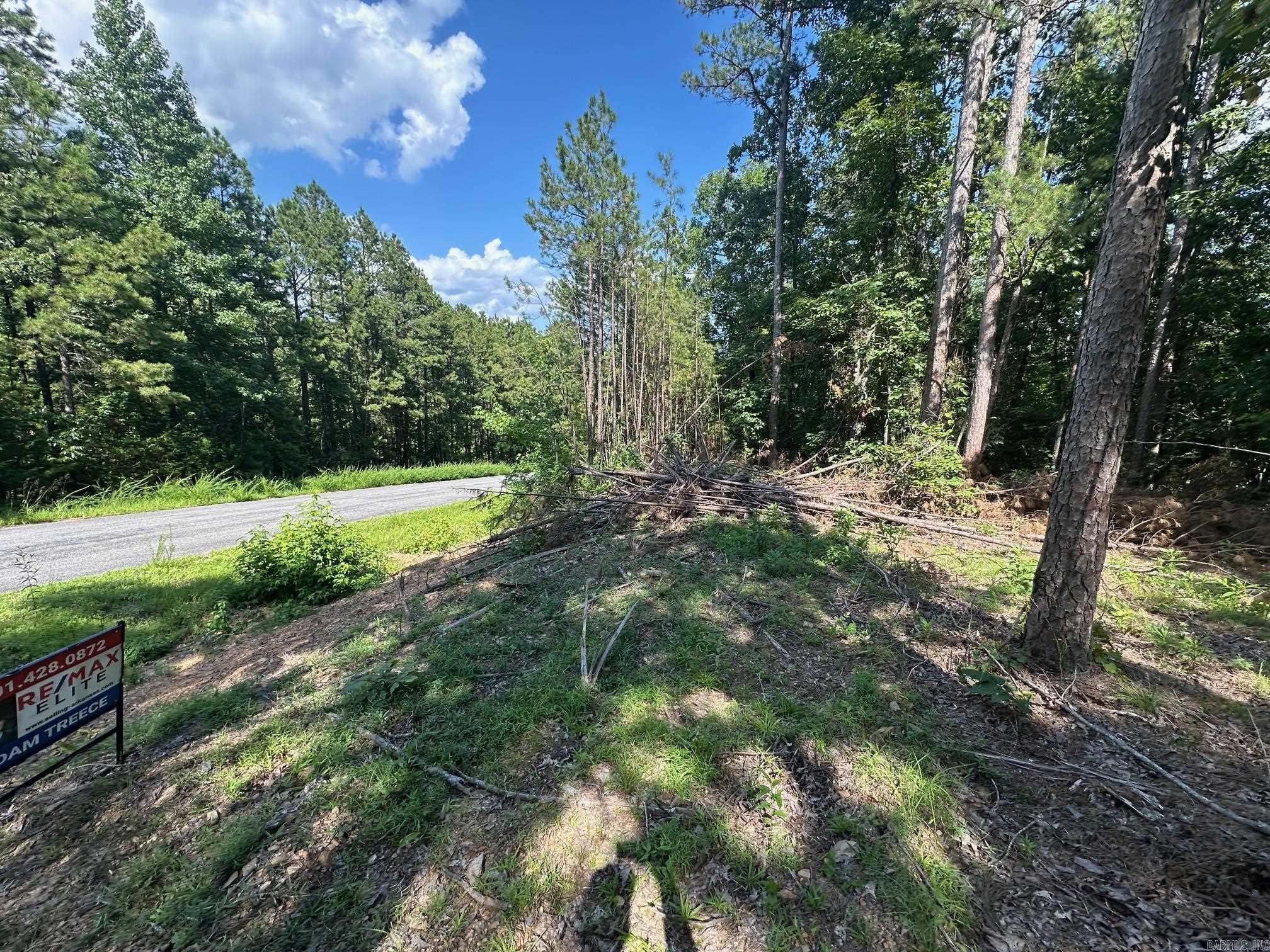 TBD Tract 3 Cobalt Bay  Shirley, AR
