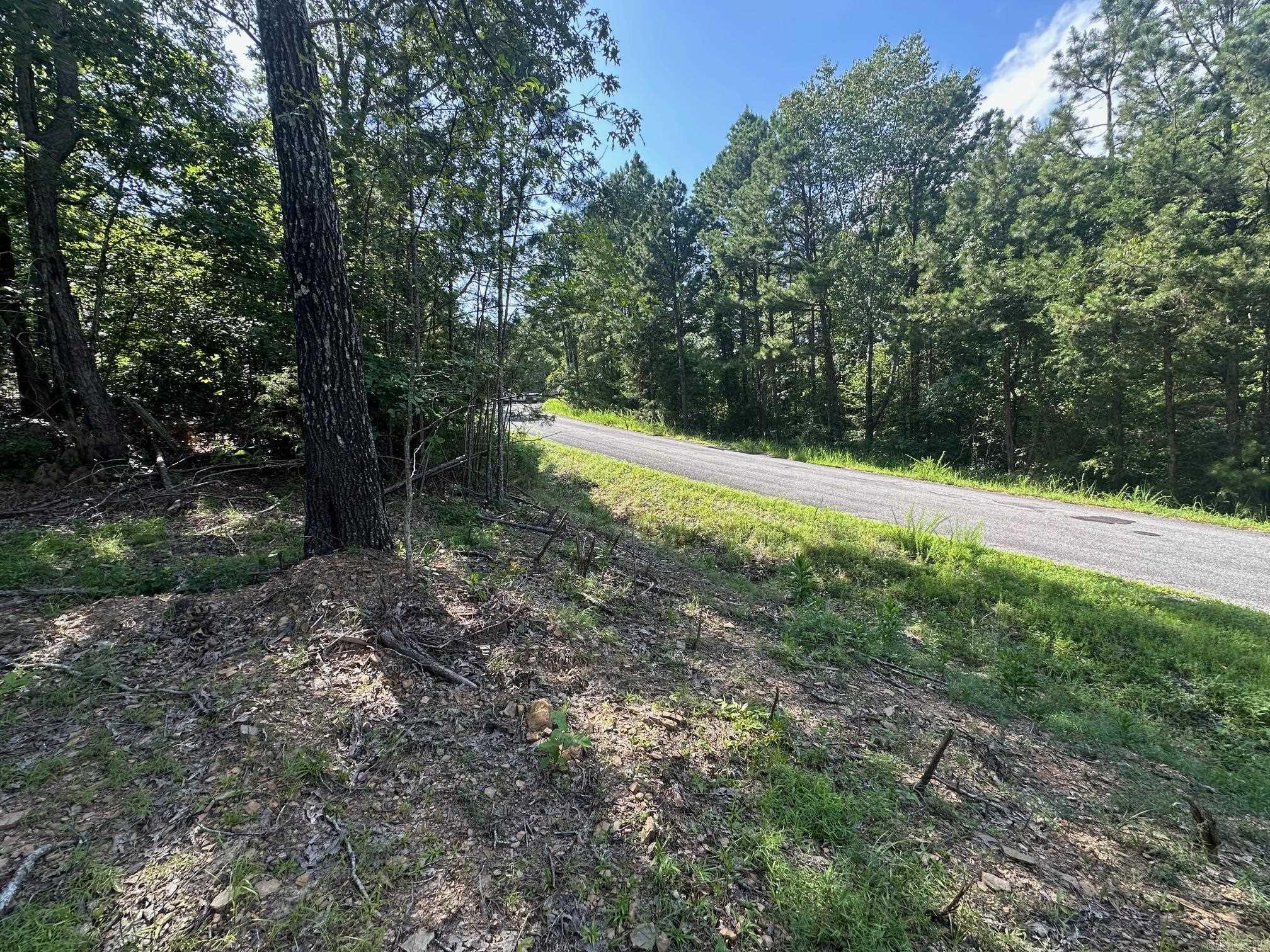TBD Tract 3 Cobalt Bay  Shirley, AR