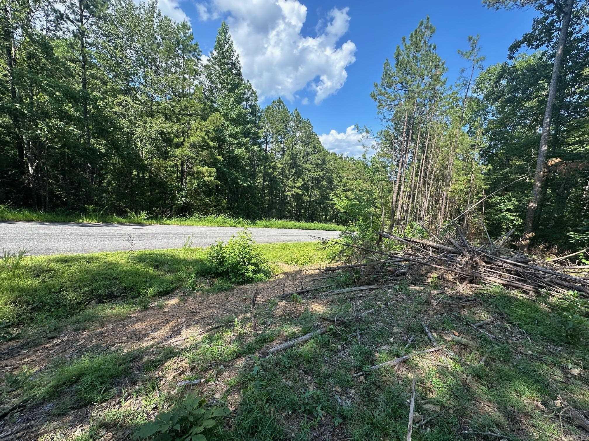 TBD Tract 3 Cobalt Bay  Shirley, AR