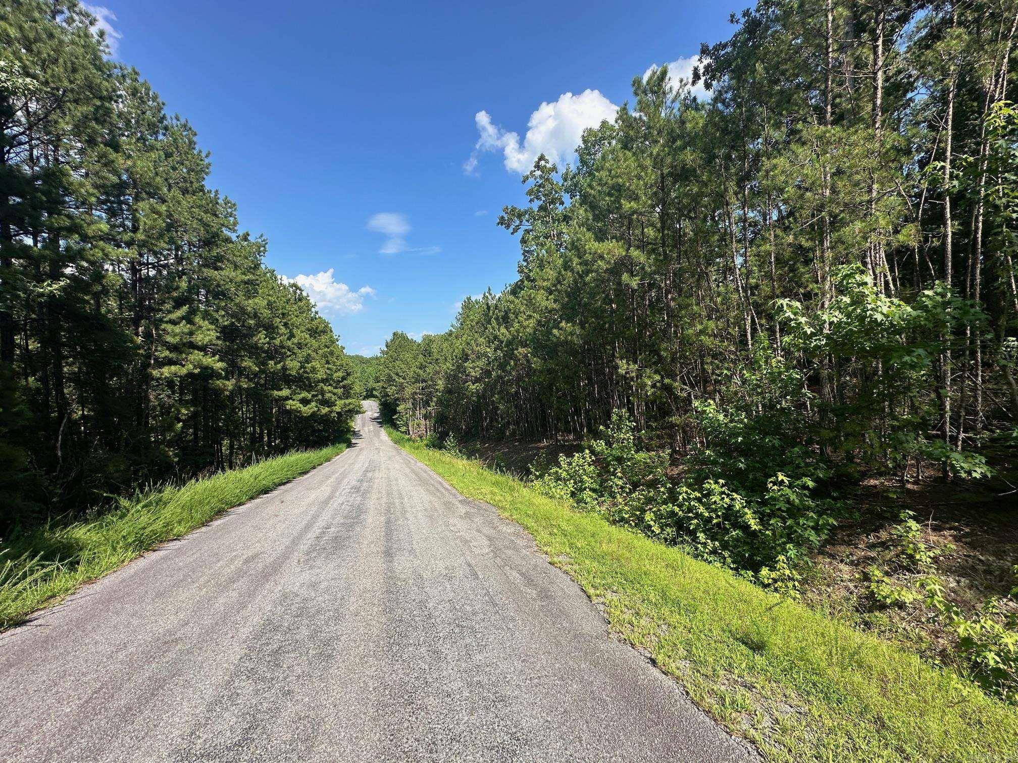 TBD Tract 4 Cobalt Bay  Shirley, AR