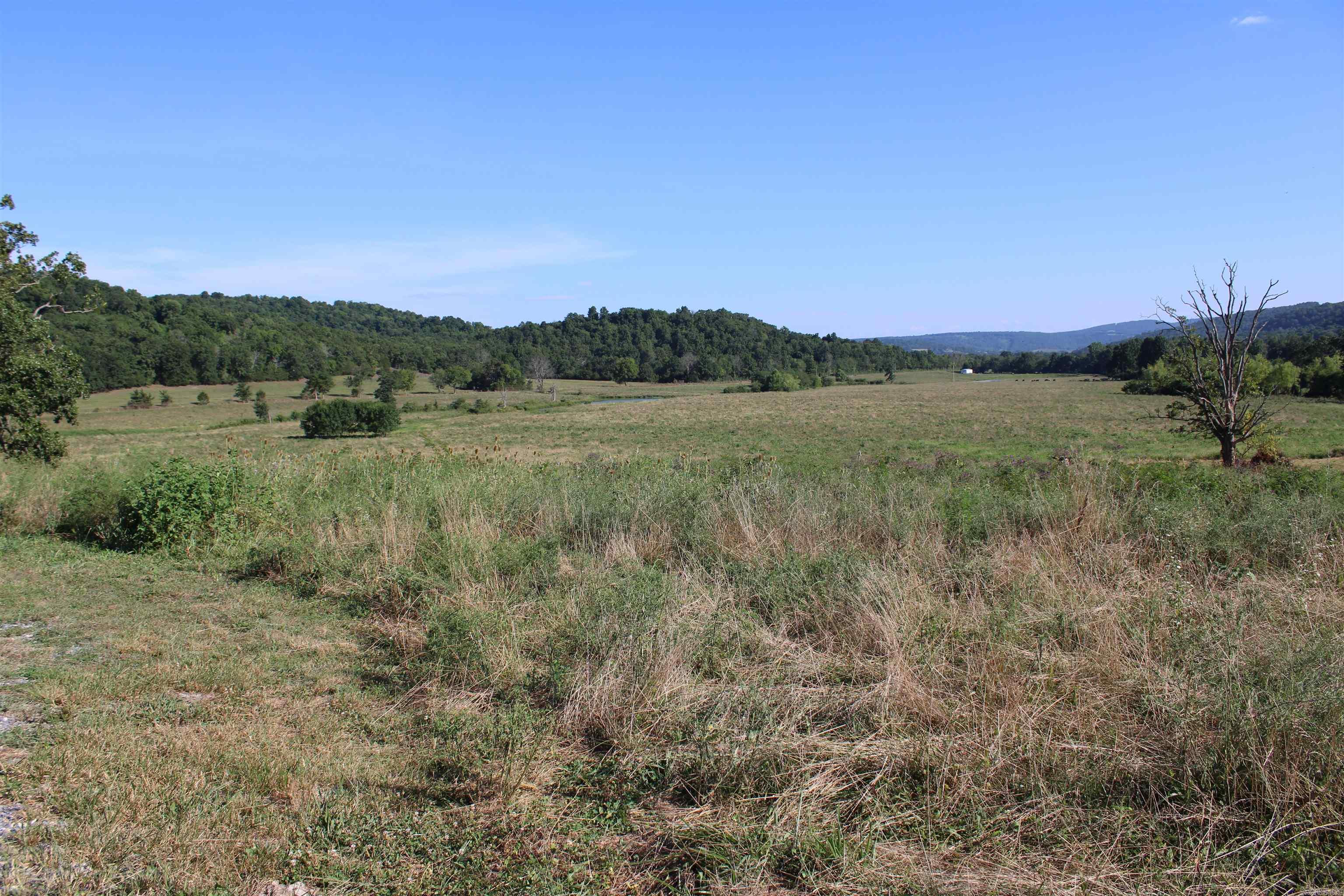 897 Rail  Marshall, AR