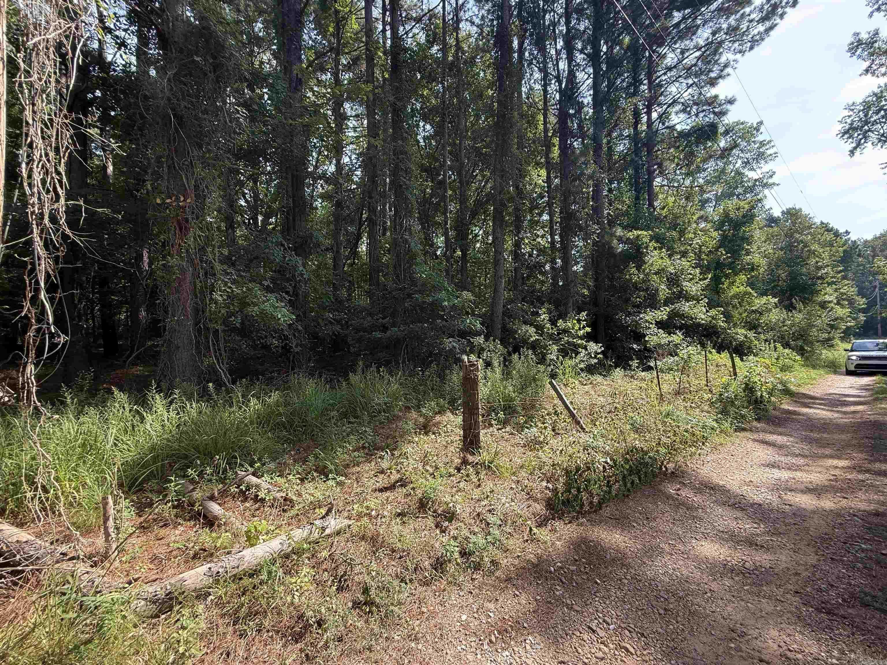 597 Mt. Zion  Arkadelphia, AR