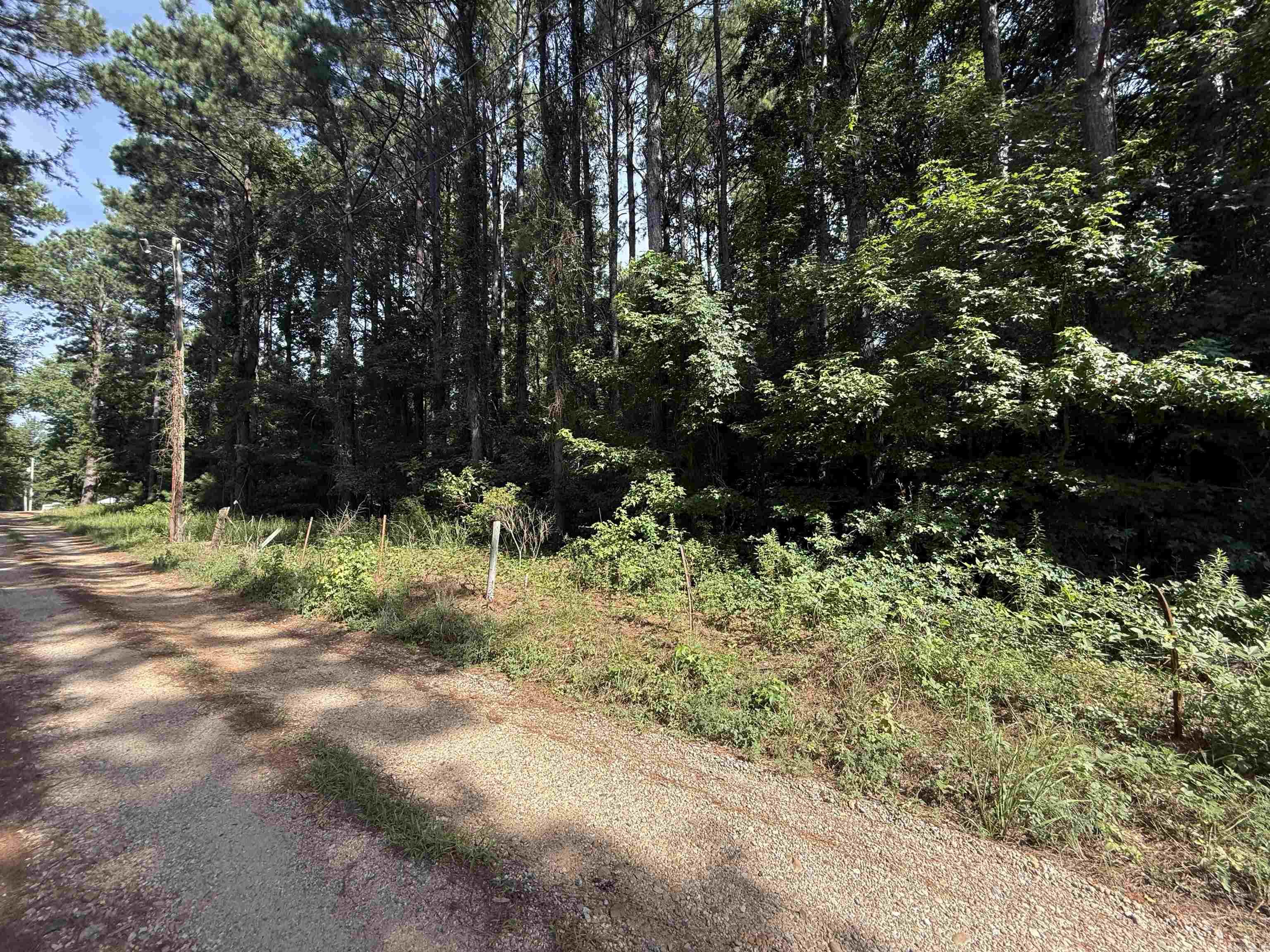 597 Mt. Zion  Arkadelphia, AR