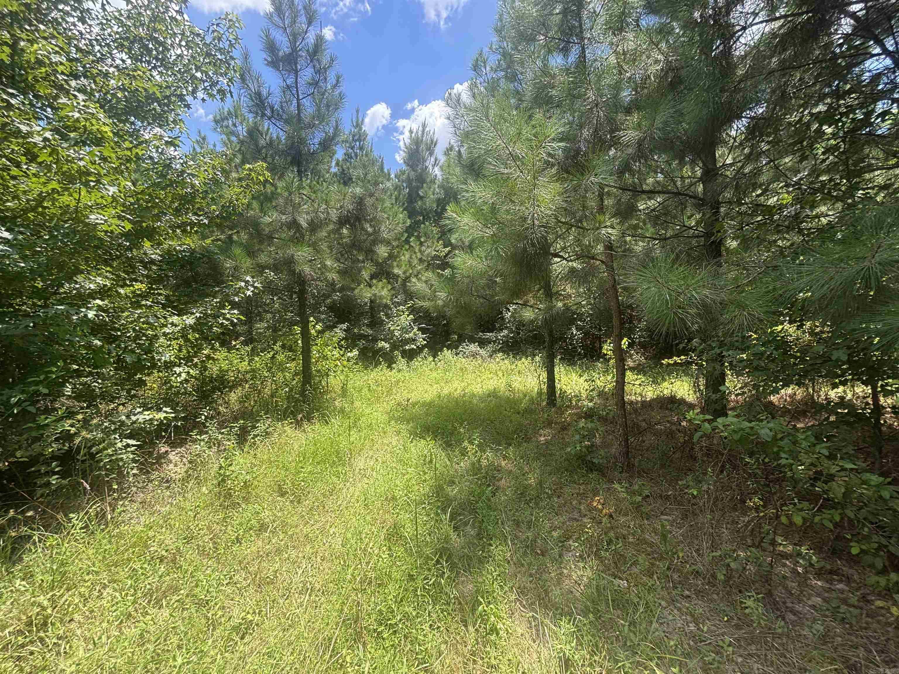 0 Highway 291 South  Prattsville, AR