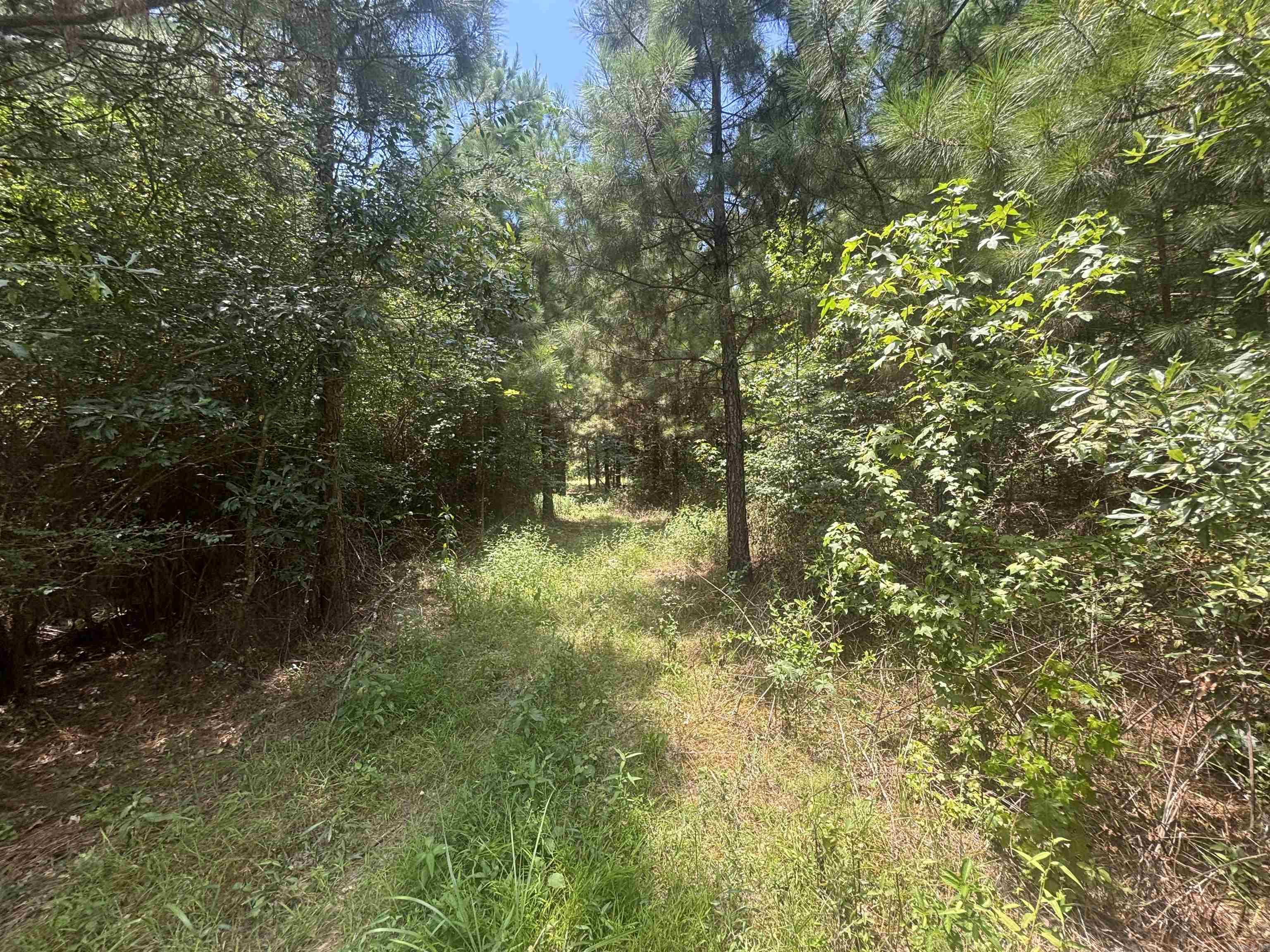 0 Highway 291 South  Prattsville, AR