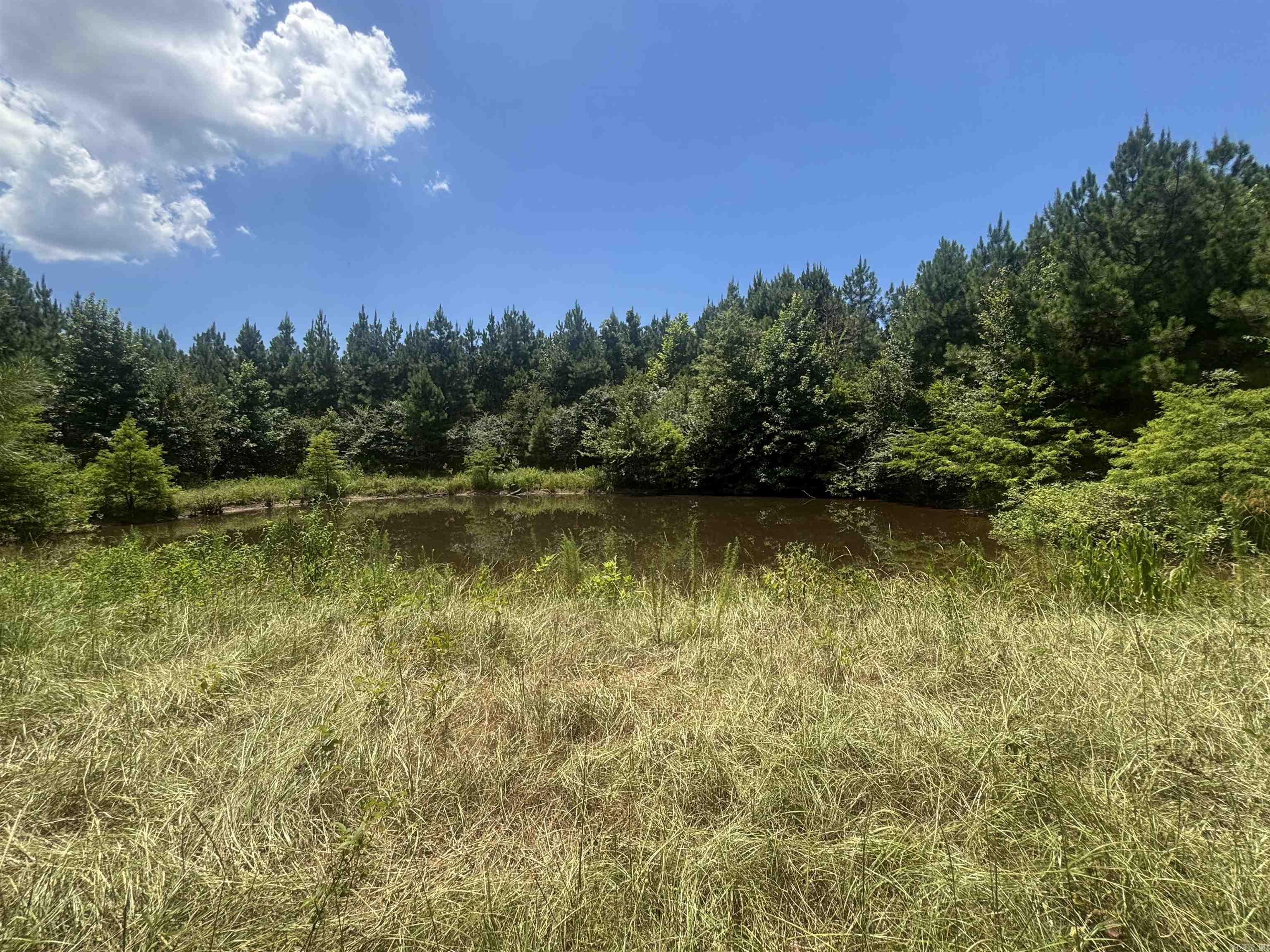 0 Highway 291 South  Prattsville, AR