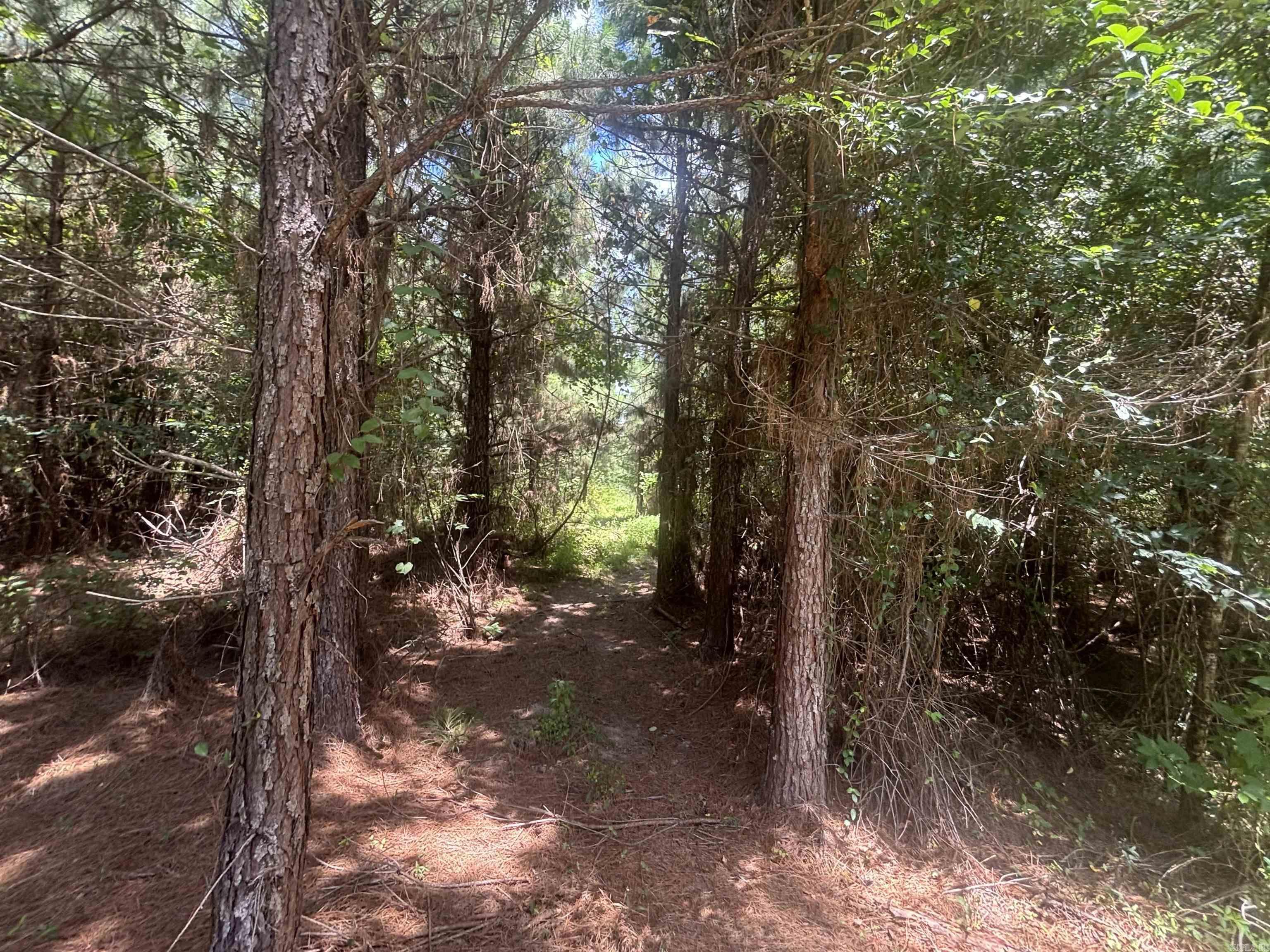 0 Highway 291 South  Prattsville, AR