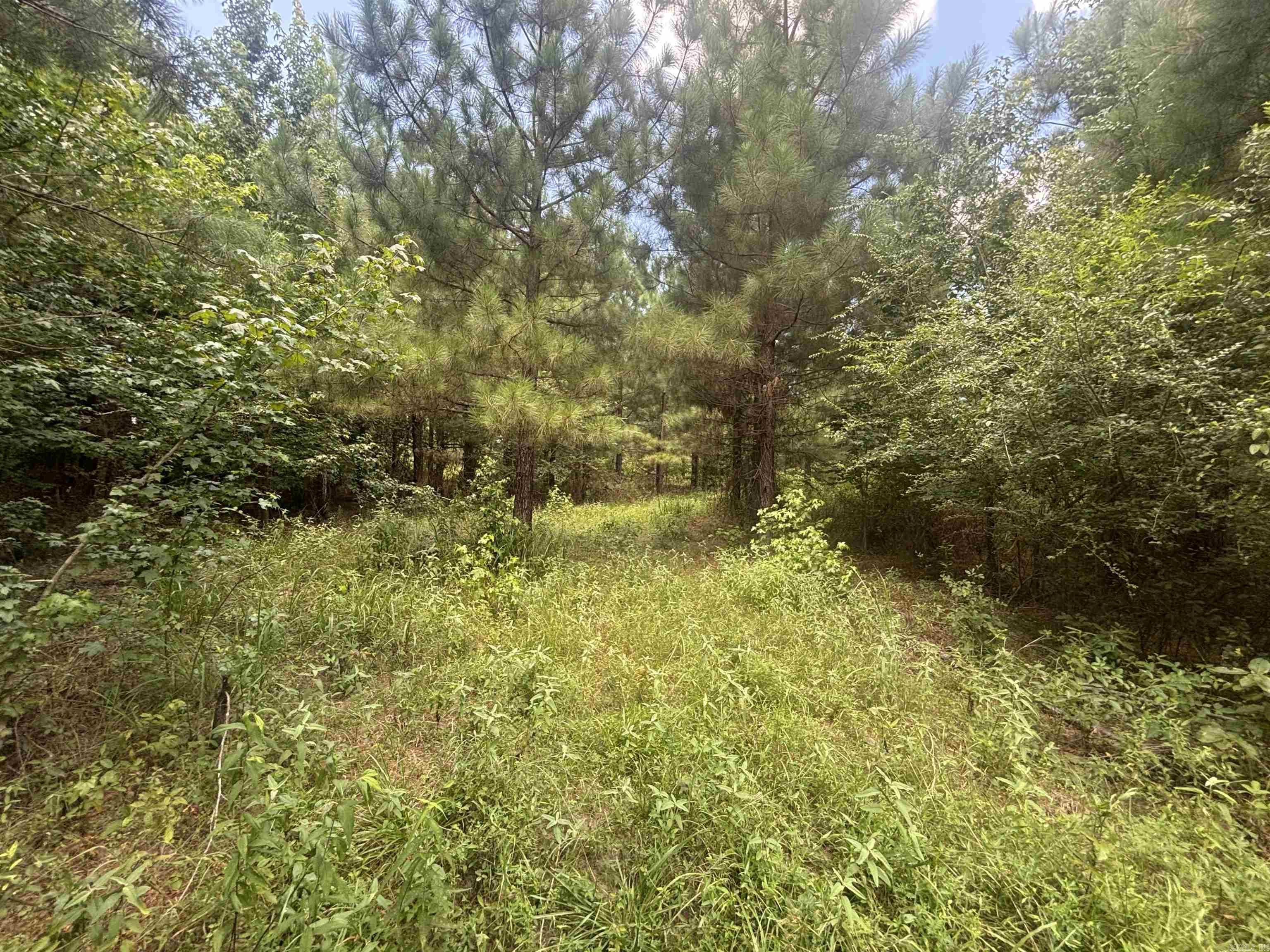 0 Highway 291 South  Prattsville, AR