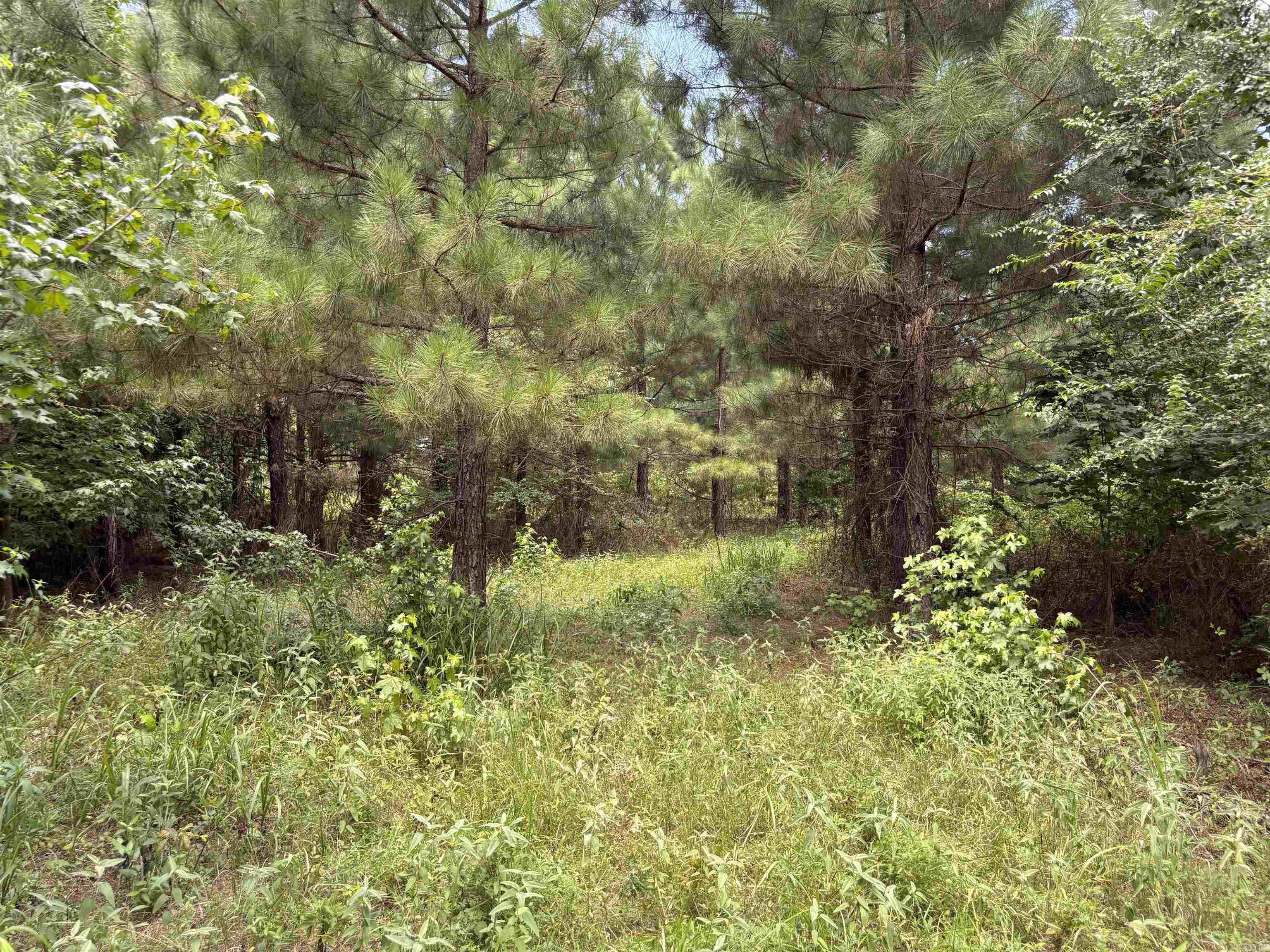 0 Highway 291 South  Prattsville, AR