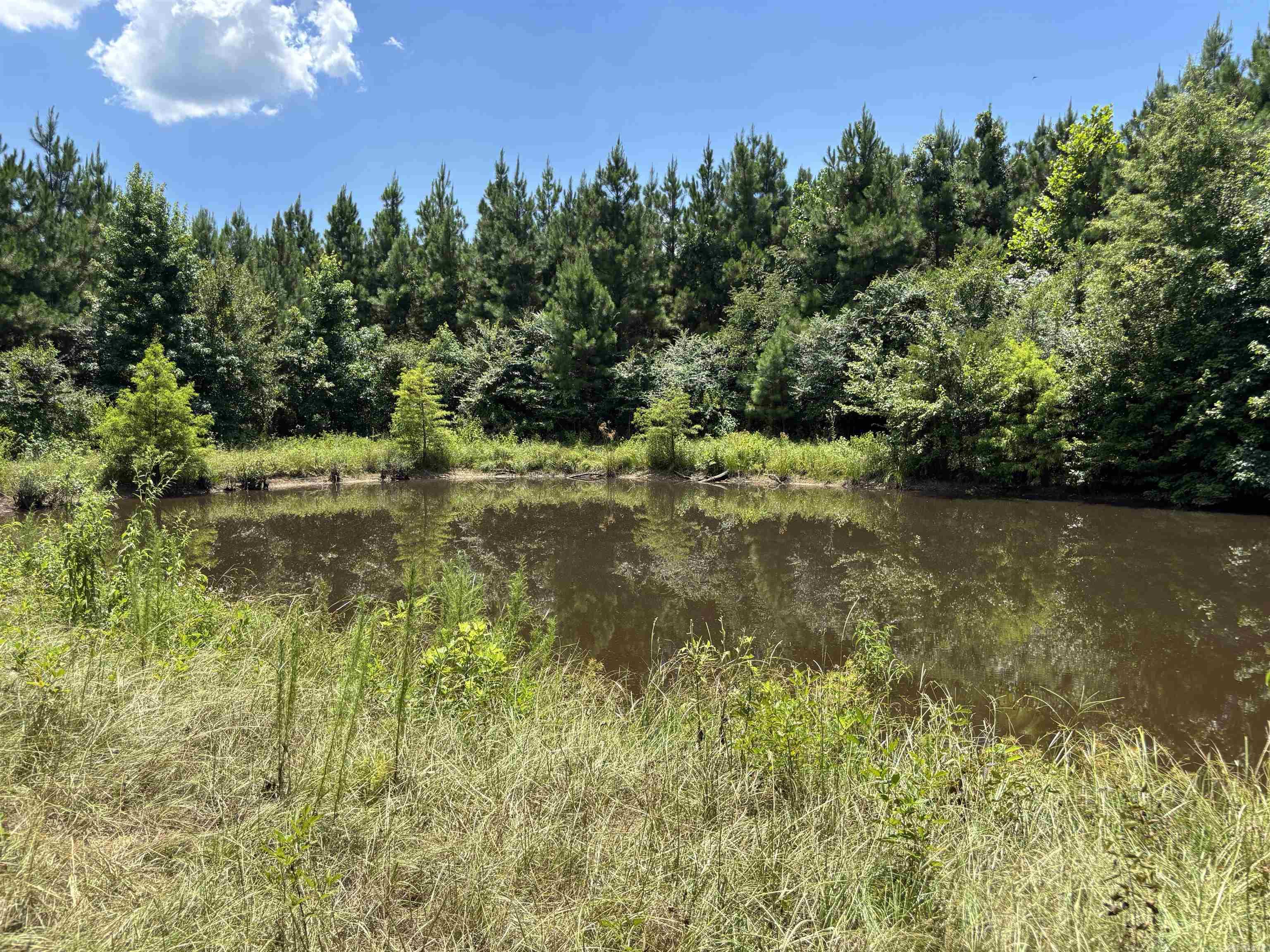 0 Highway 291 South  Prattsville, AR