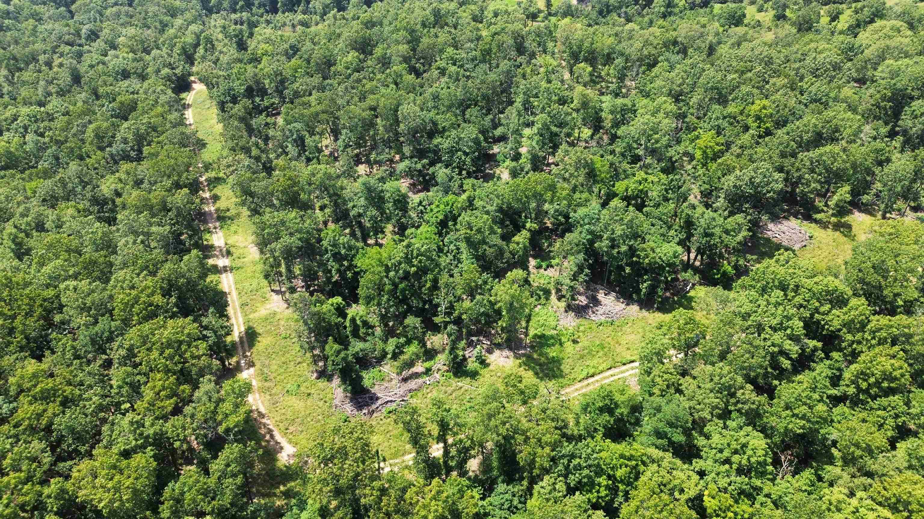 0 County Road 35  Clarkridge, AR