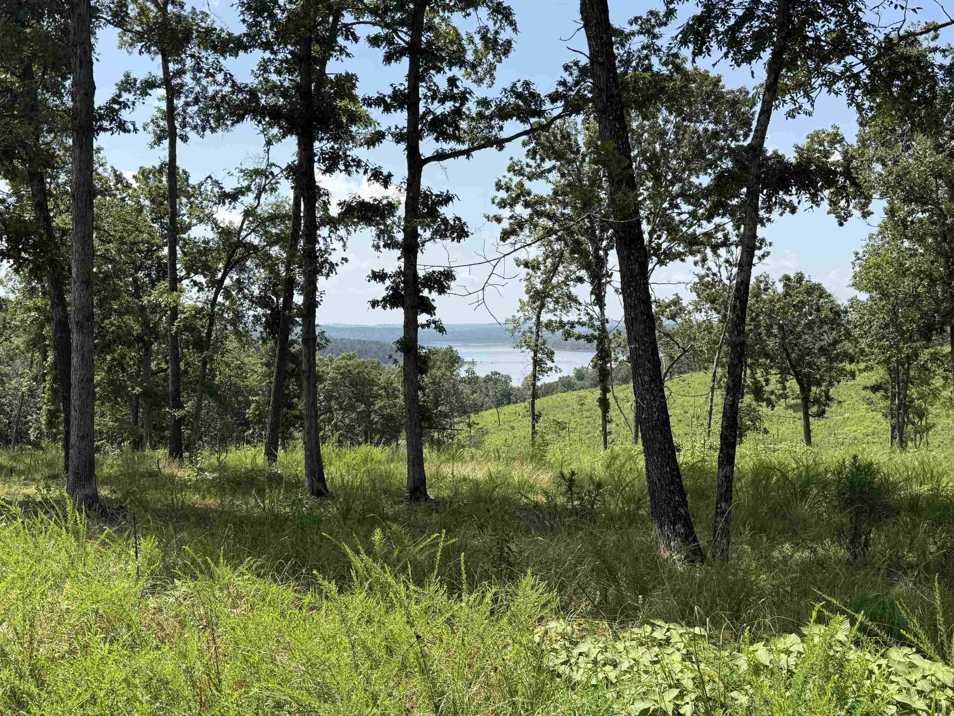 0 County Road 35  Clarkridge, AR