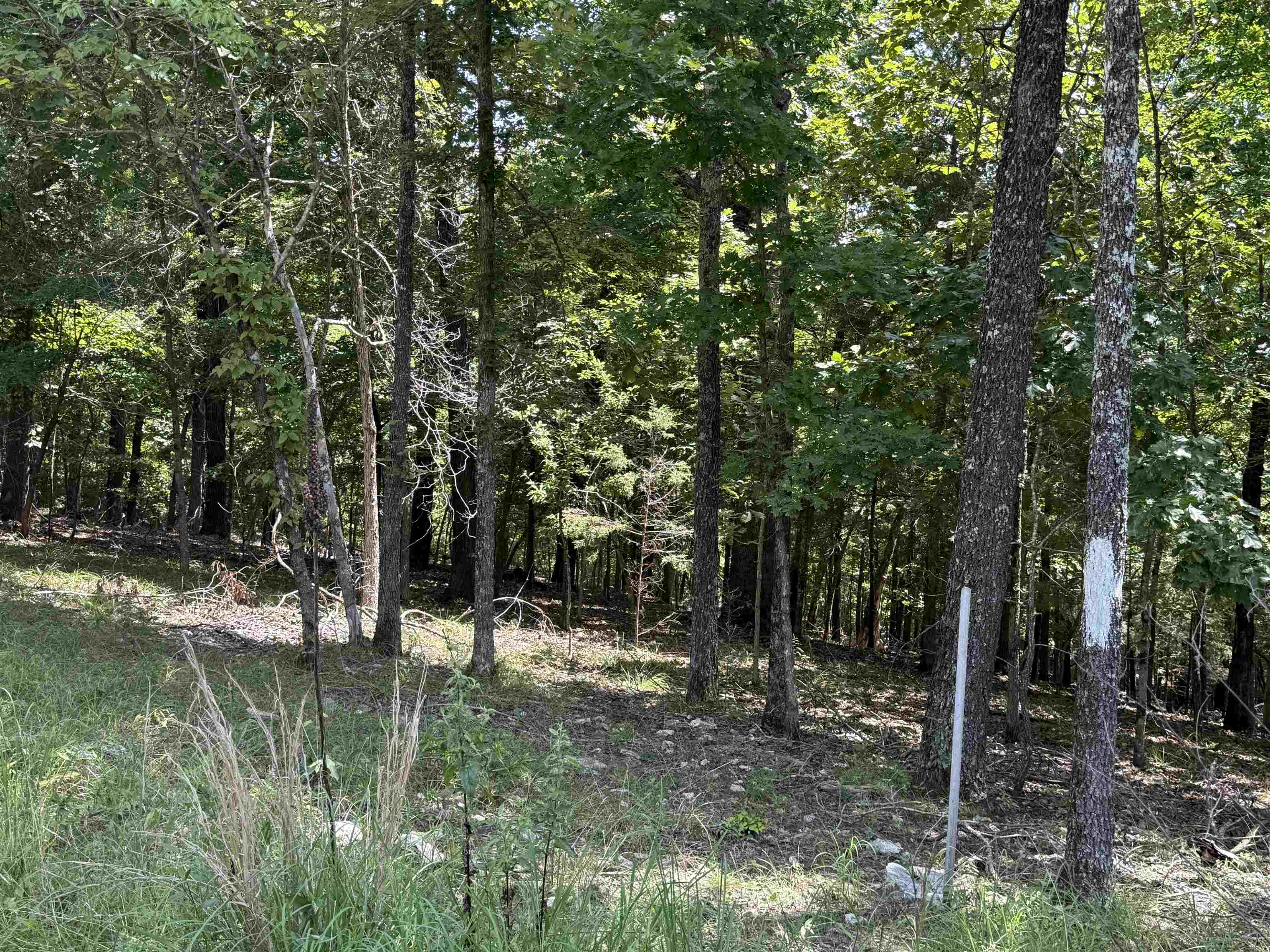 0 County Road 35  Clarkridge, AR