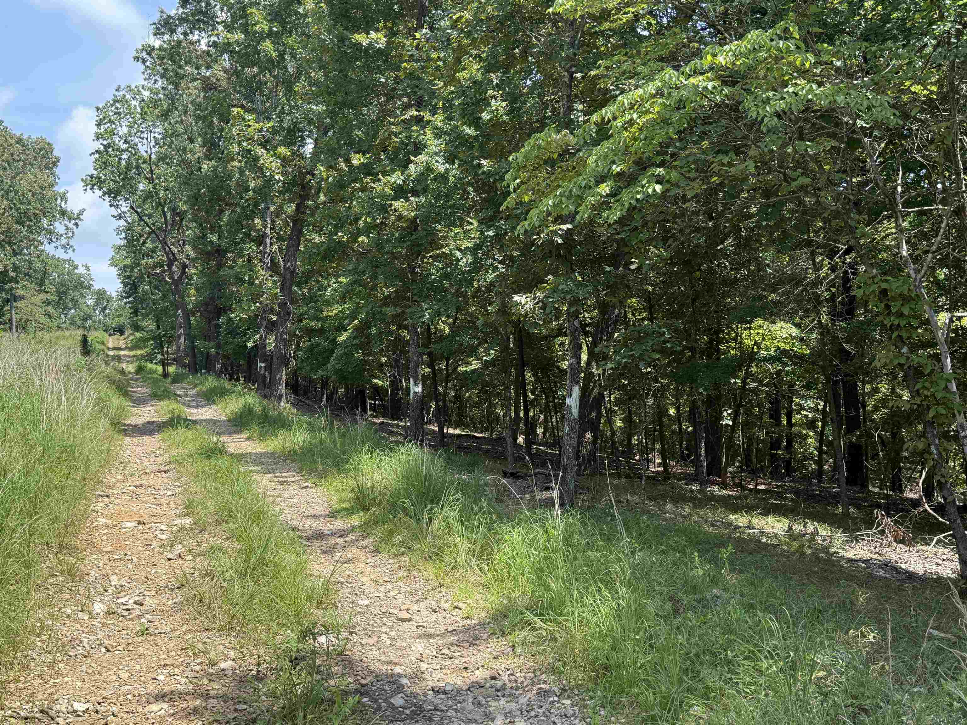 0 County Road 35  Clarkridge, AR
