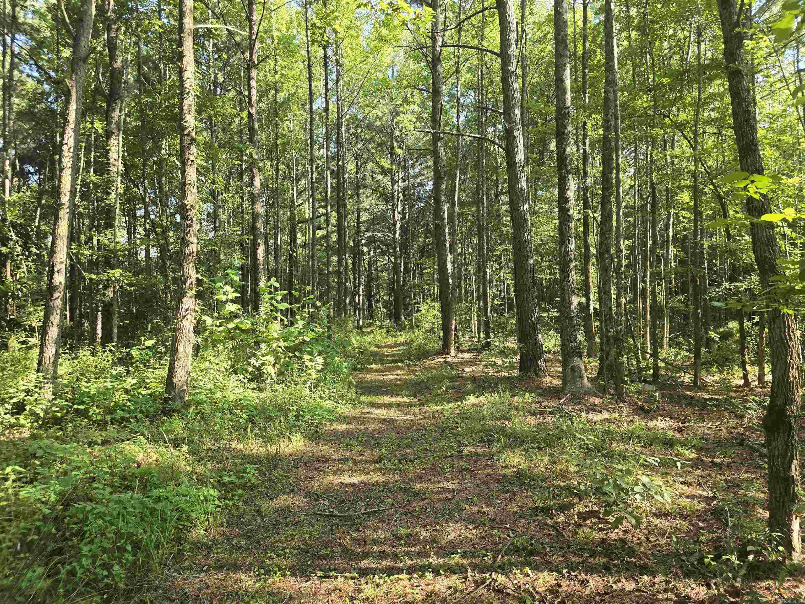 2571 Highway 31  Beebe, AR