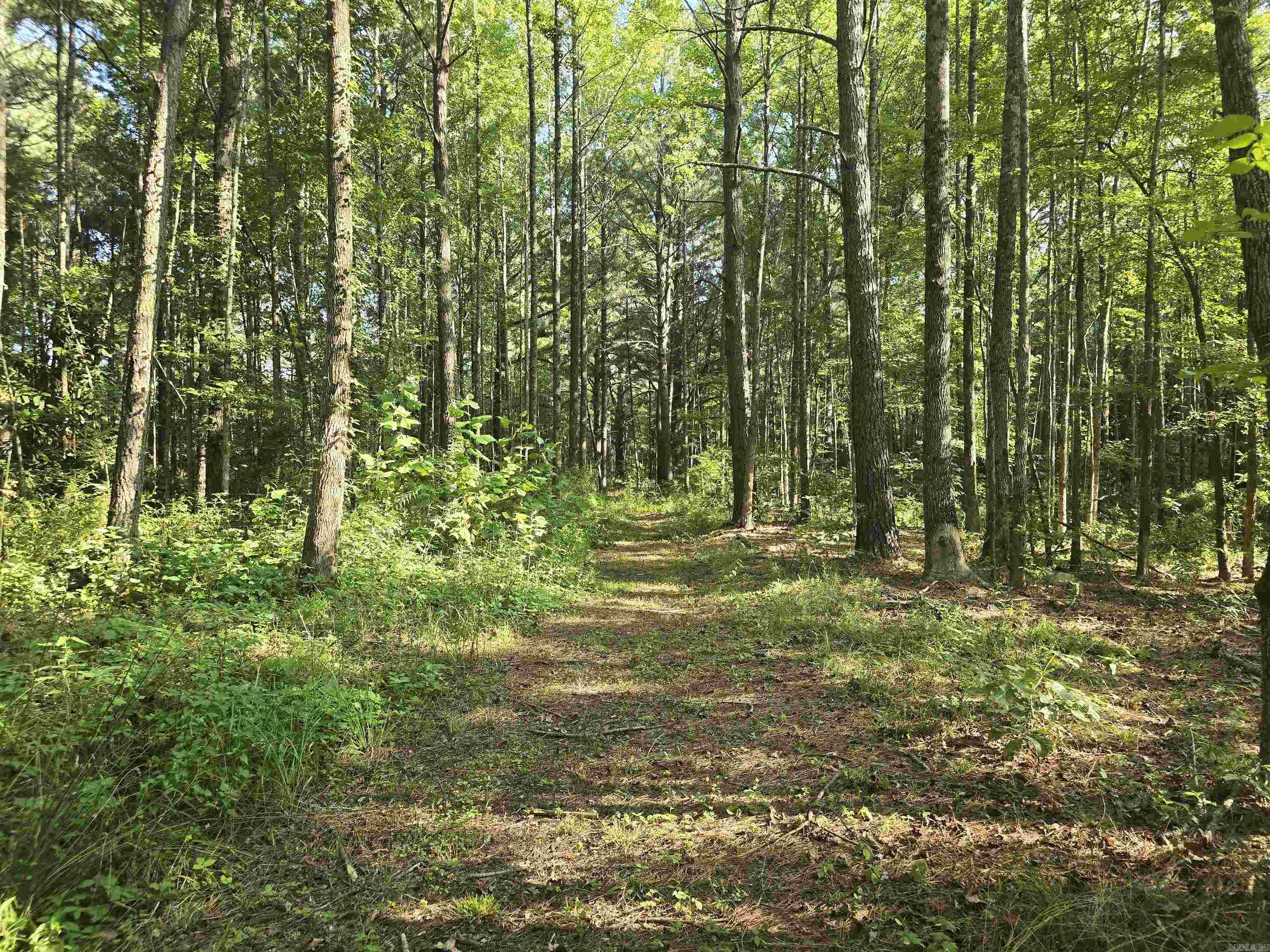 2571 Highway 31  Beebe, AR