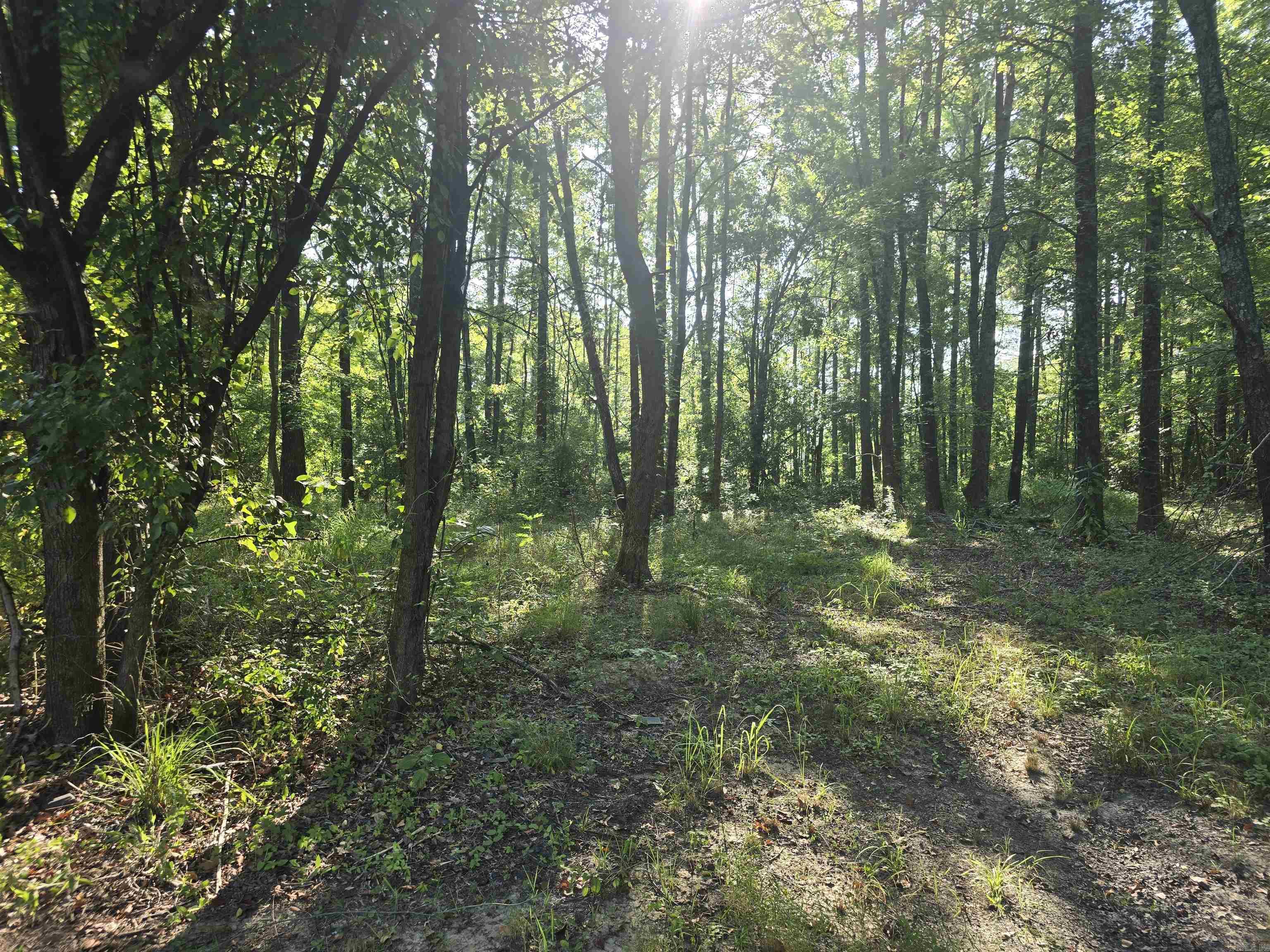 2571 Highway 31  Beebe, AR