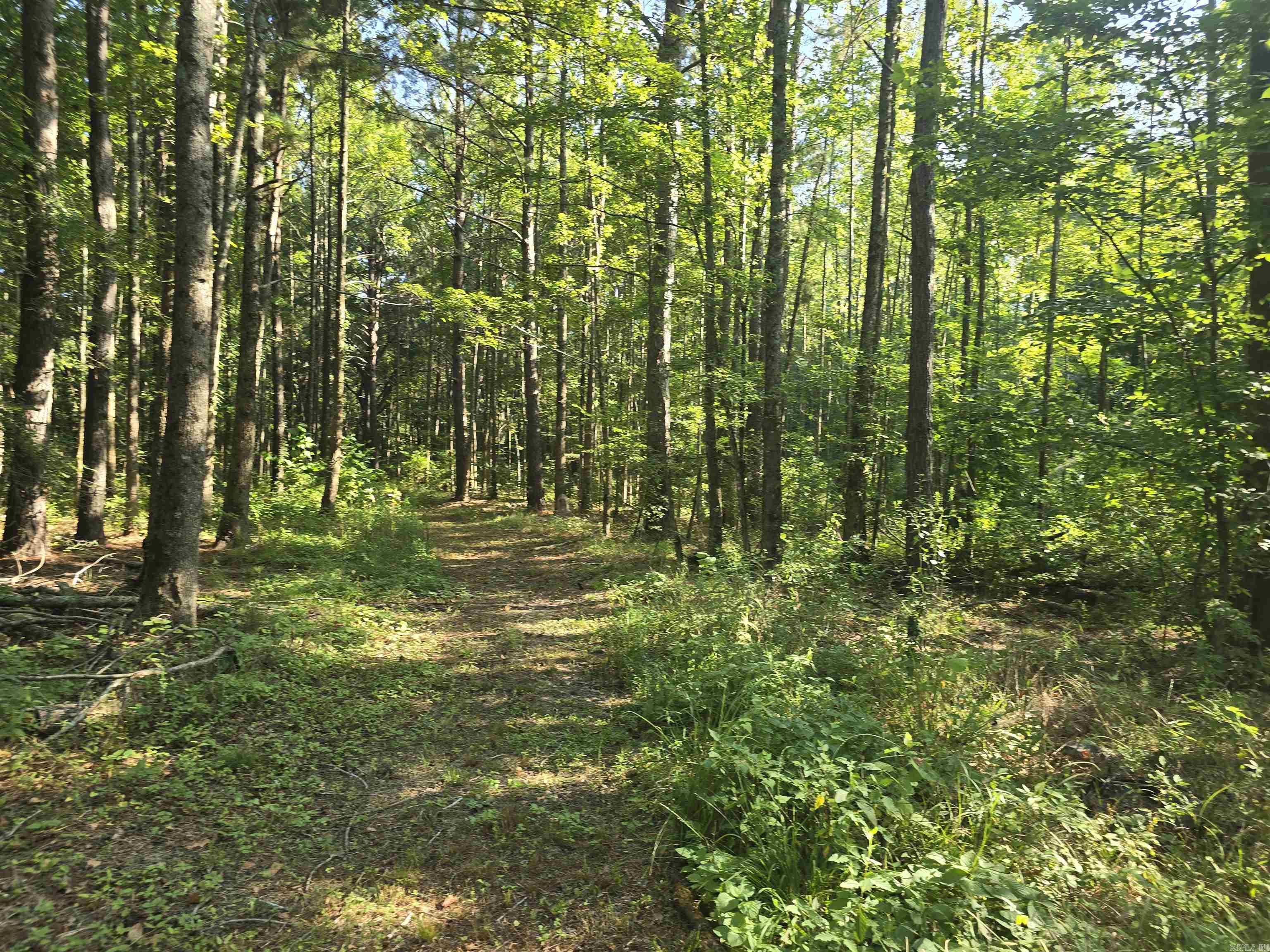 2571 Highway 31  Beebe, AR
