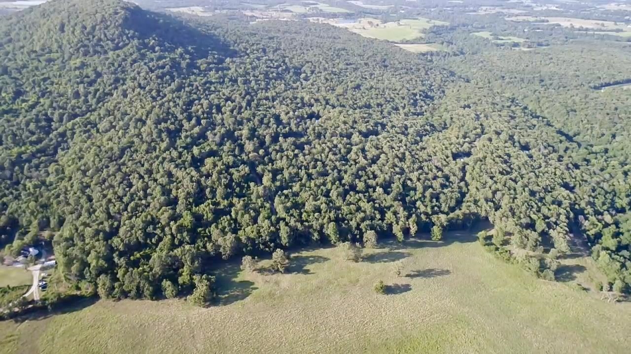 TBD CR 993  Green For., AR