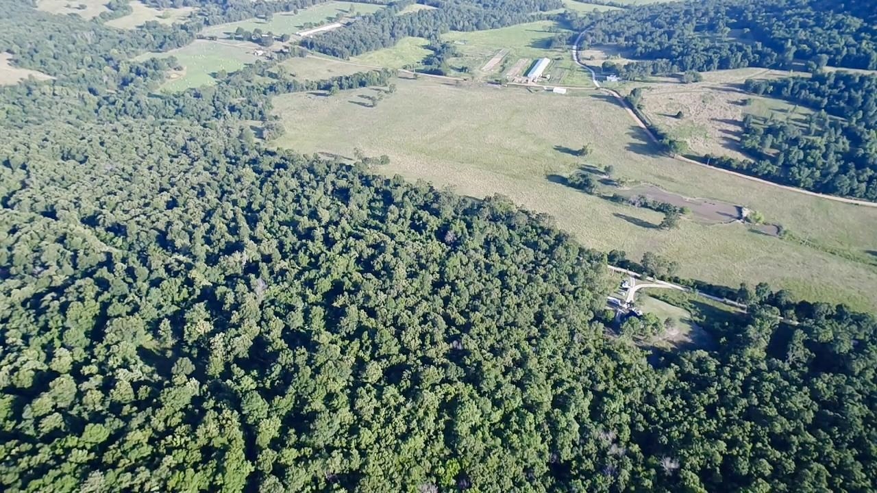 TBD CR 993  Green For., AR