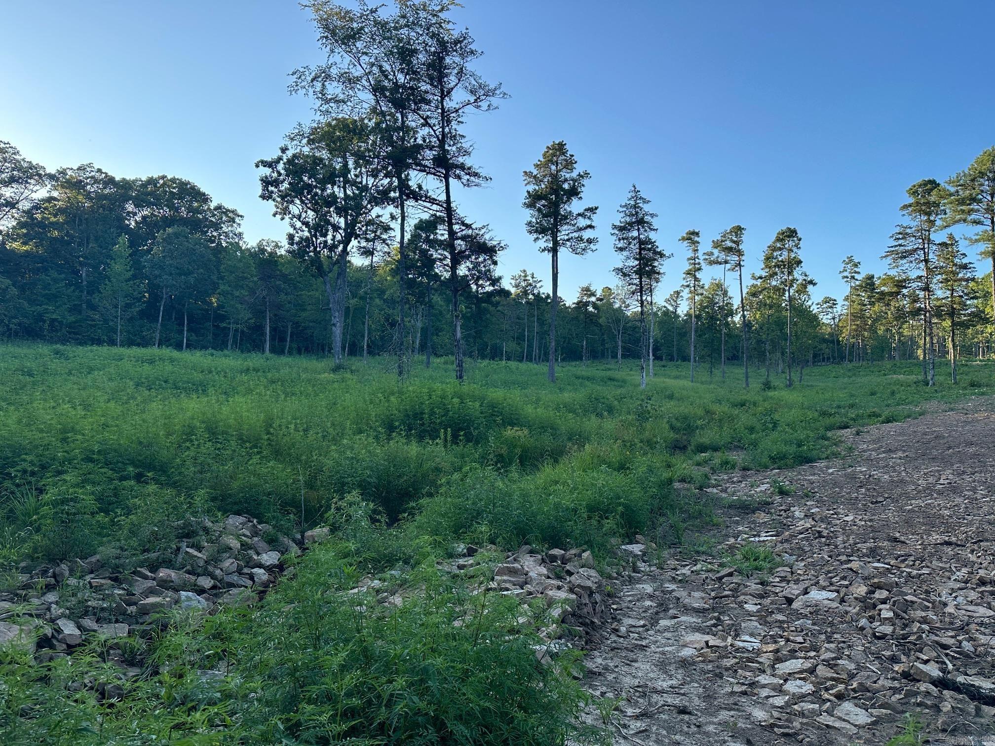 000 PRIVATE ROAD 4485  Ozone, AR