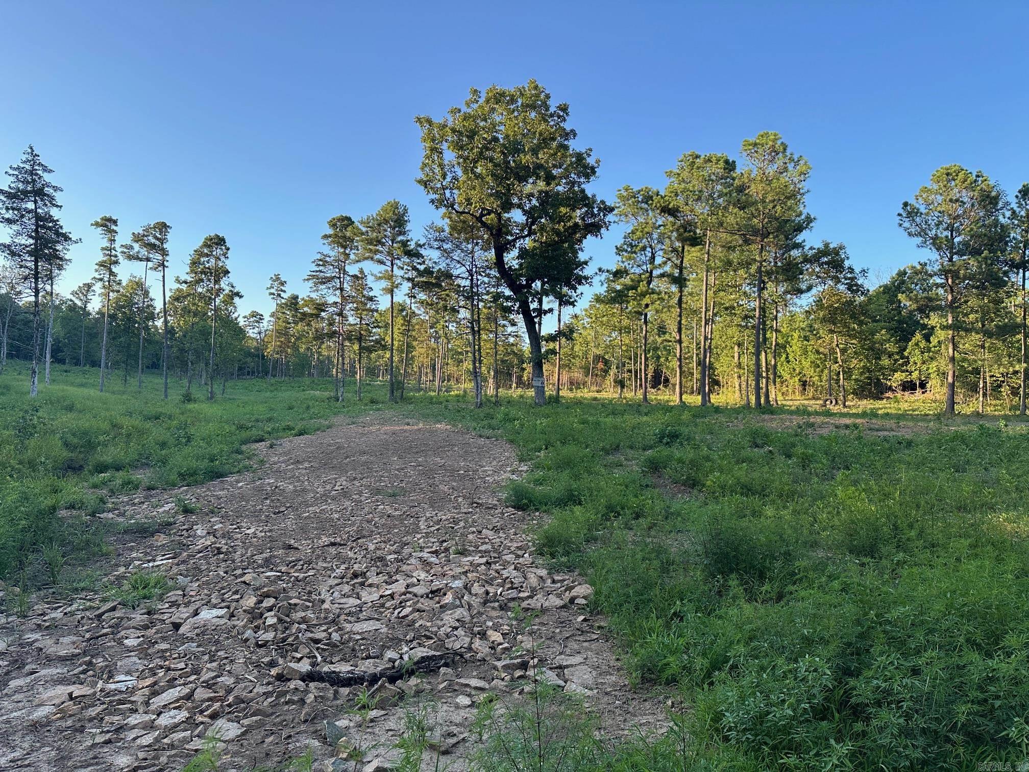 000 PRIVATE ROAD 4485  Ozone, AR
