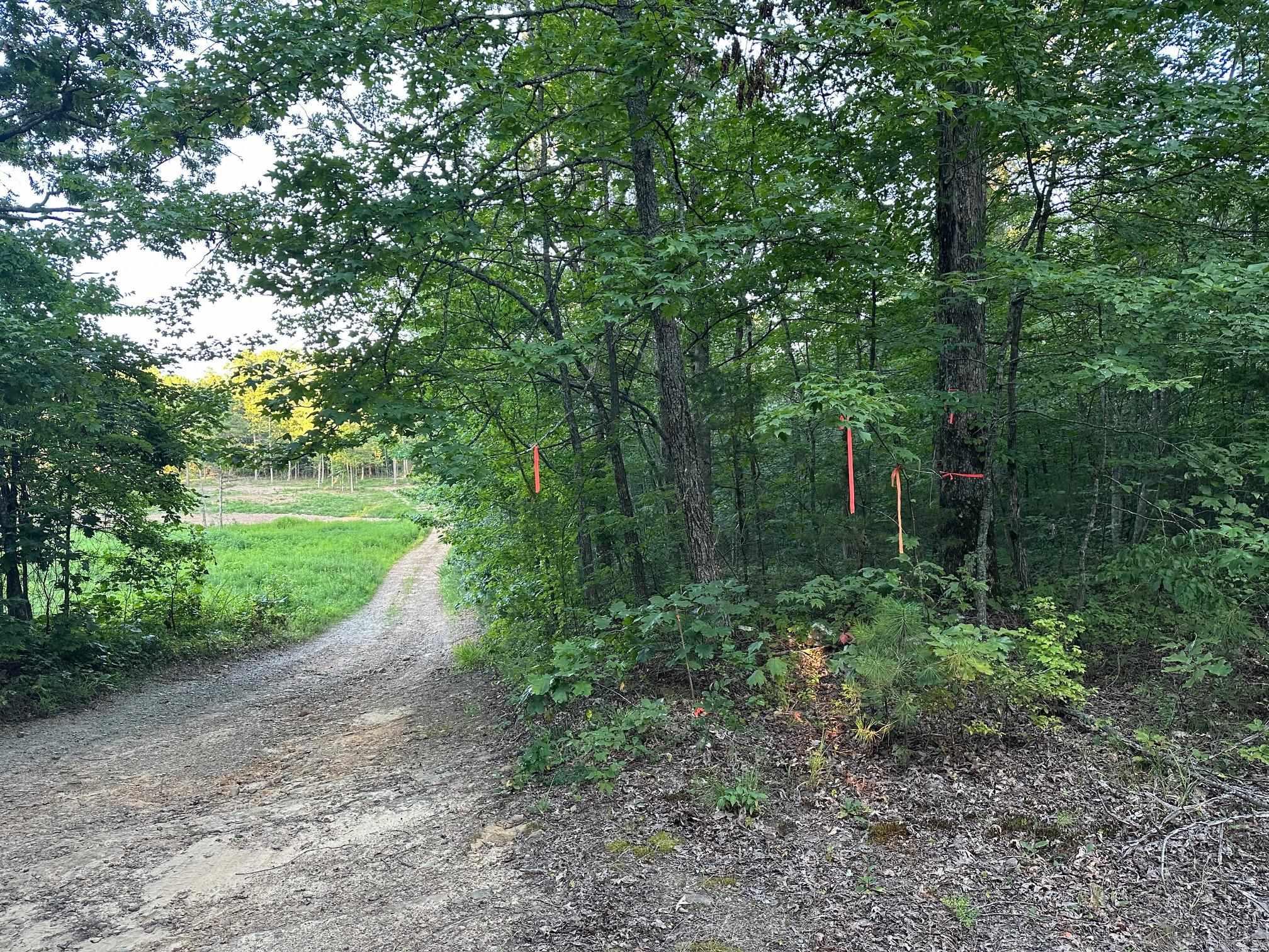 000 PRIVATE ROAD 4485  Ozone, AR