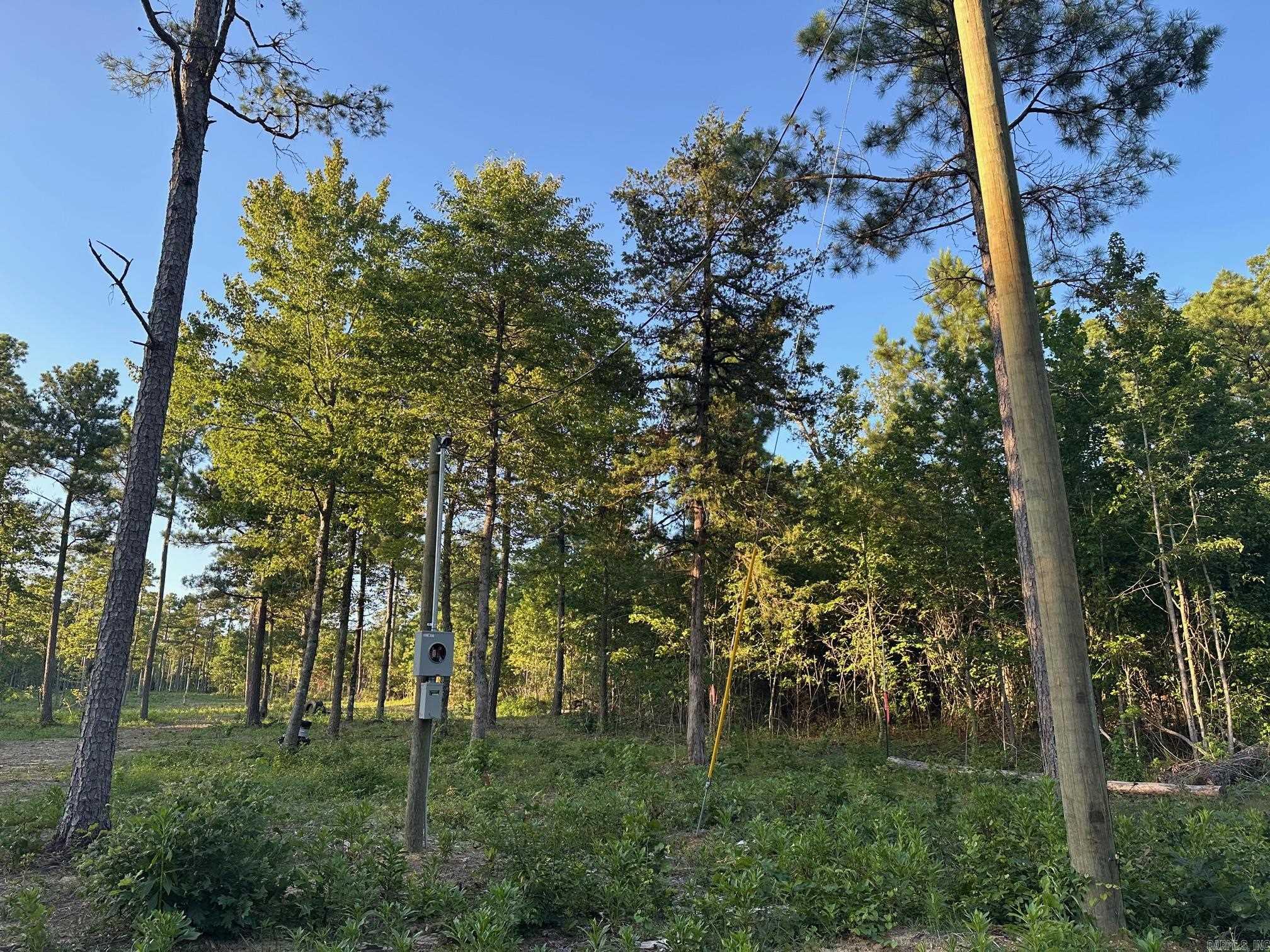 000 PRIVATE ROAD 4485  Ozone, AR