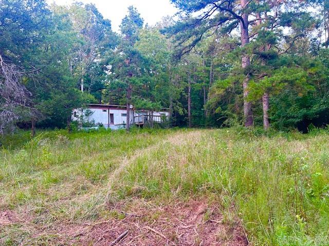 160 John A  Mountain View, AR