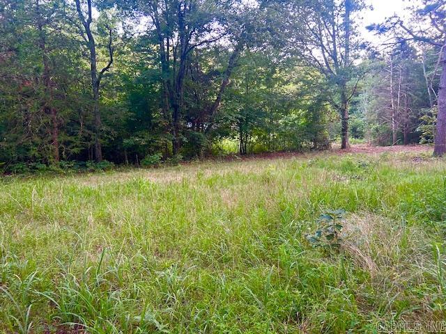 160 John A  Mountain View, AR