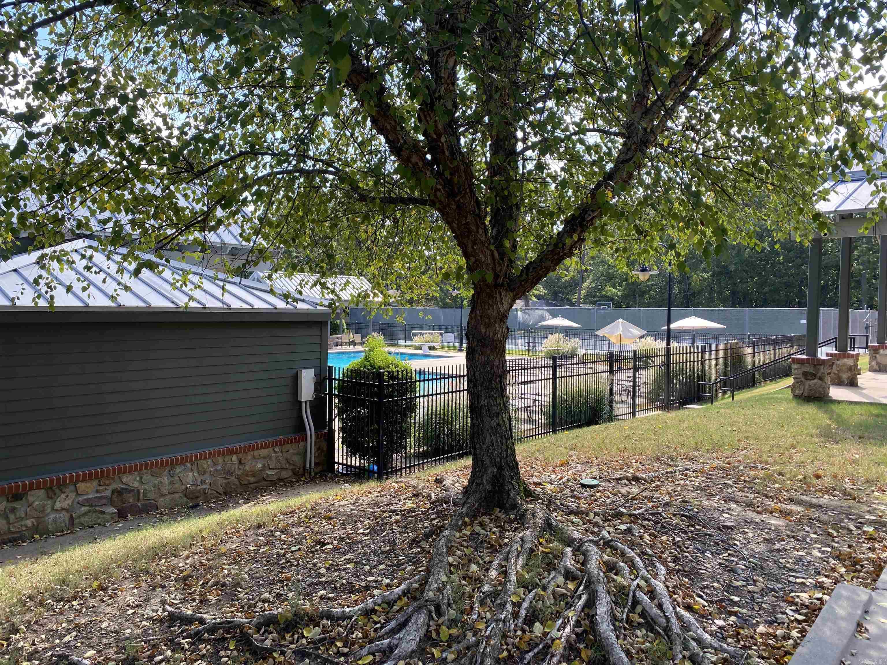 10819 Yosemite Valley Dr.  Little Rock, AR