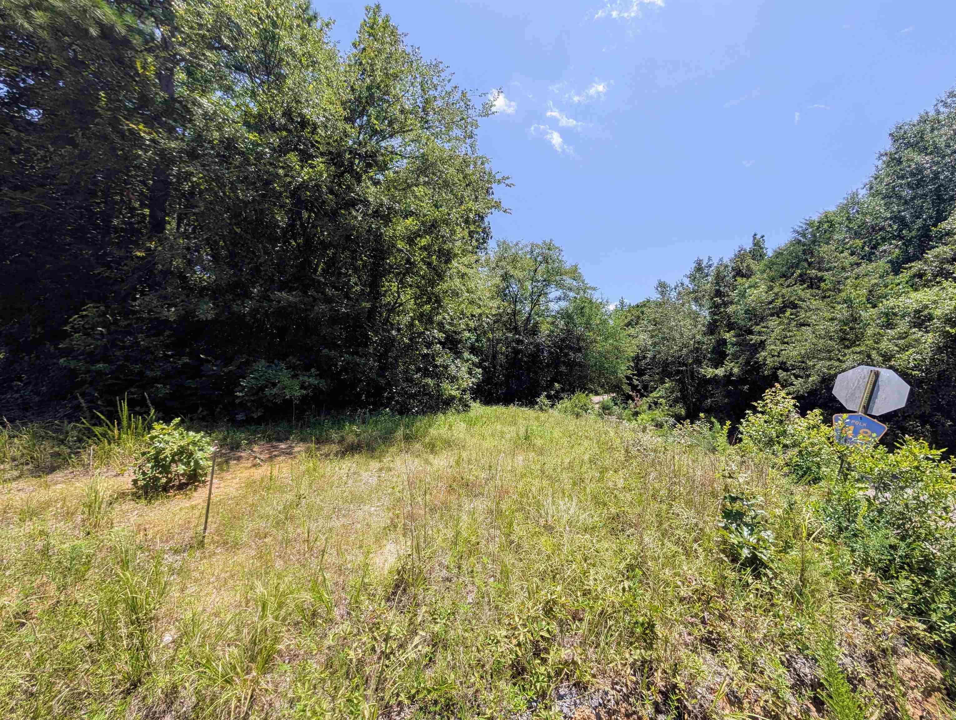 Unk Polk Road 48 and Polk 95  Mena, AR