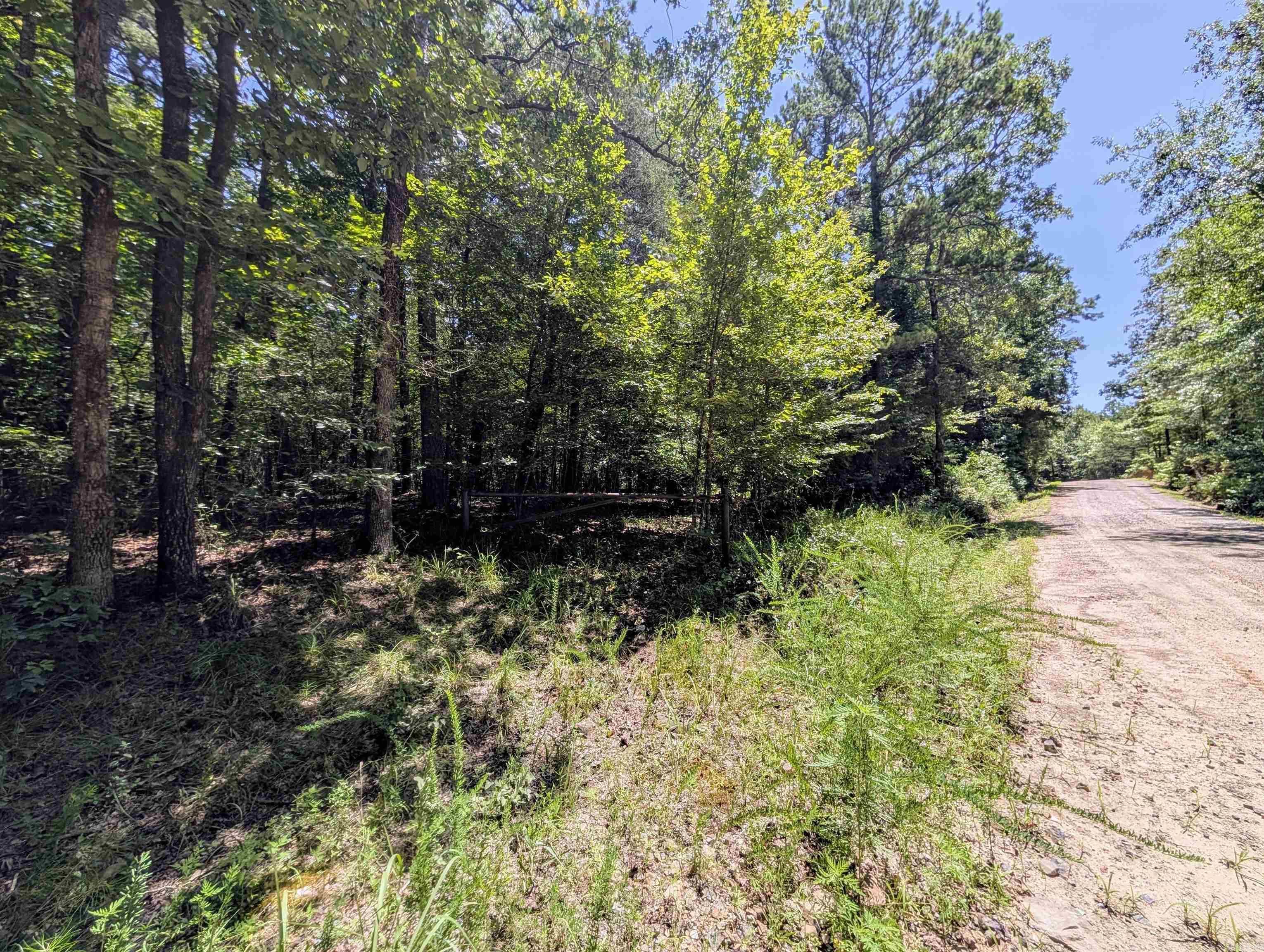 Unk Polk Road 48 and Polk 95  Mena, AR