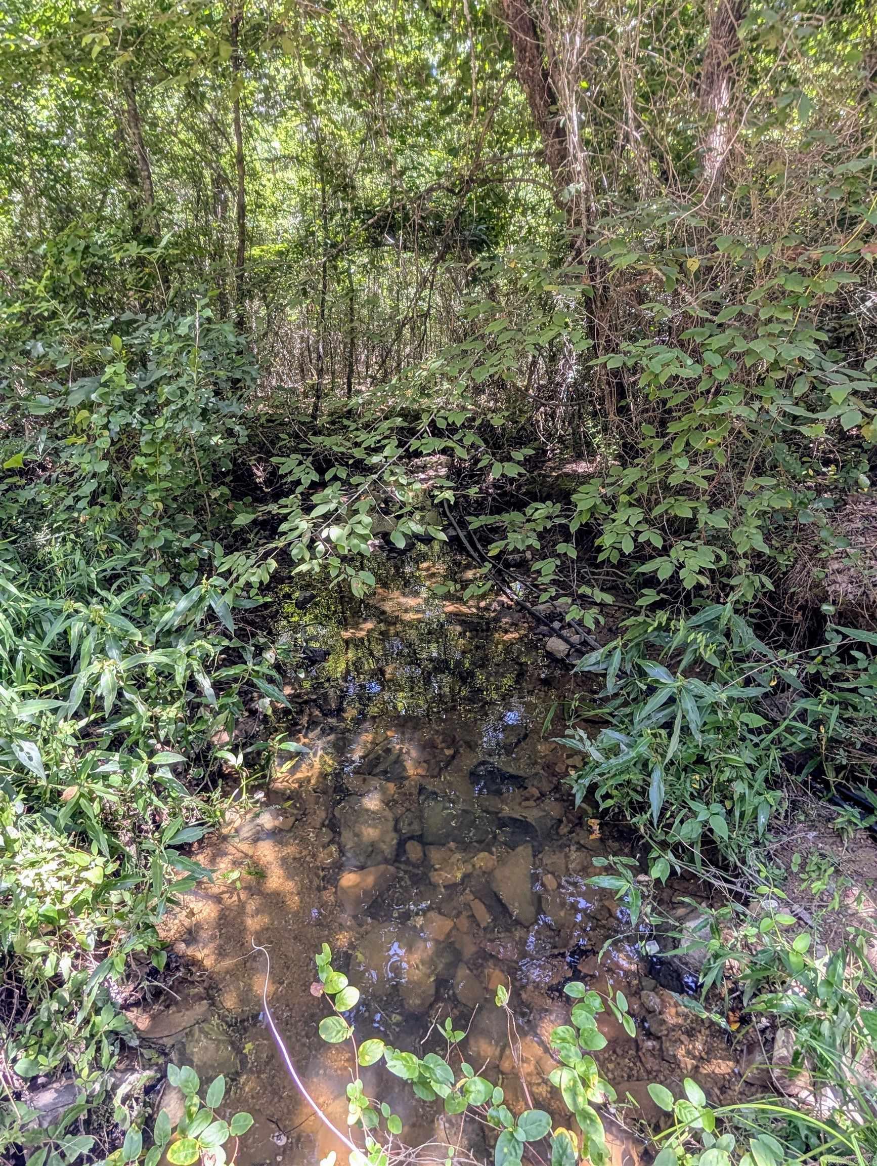 Unk Polk Road 48 and Polk 95  Mena, AR