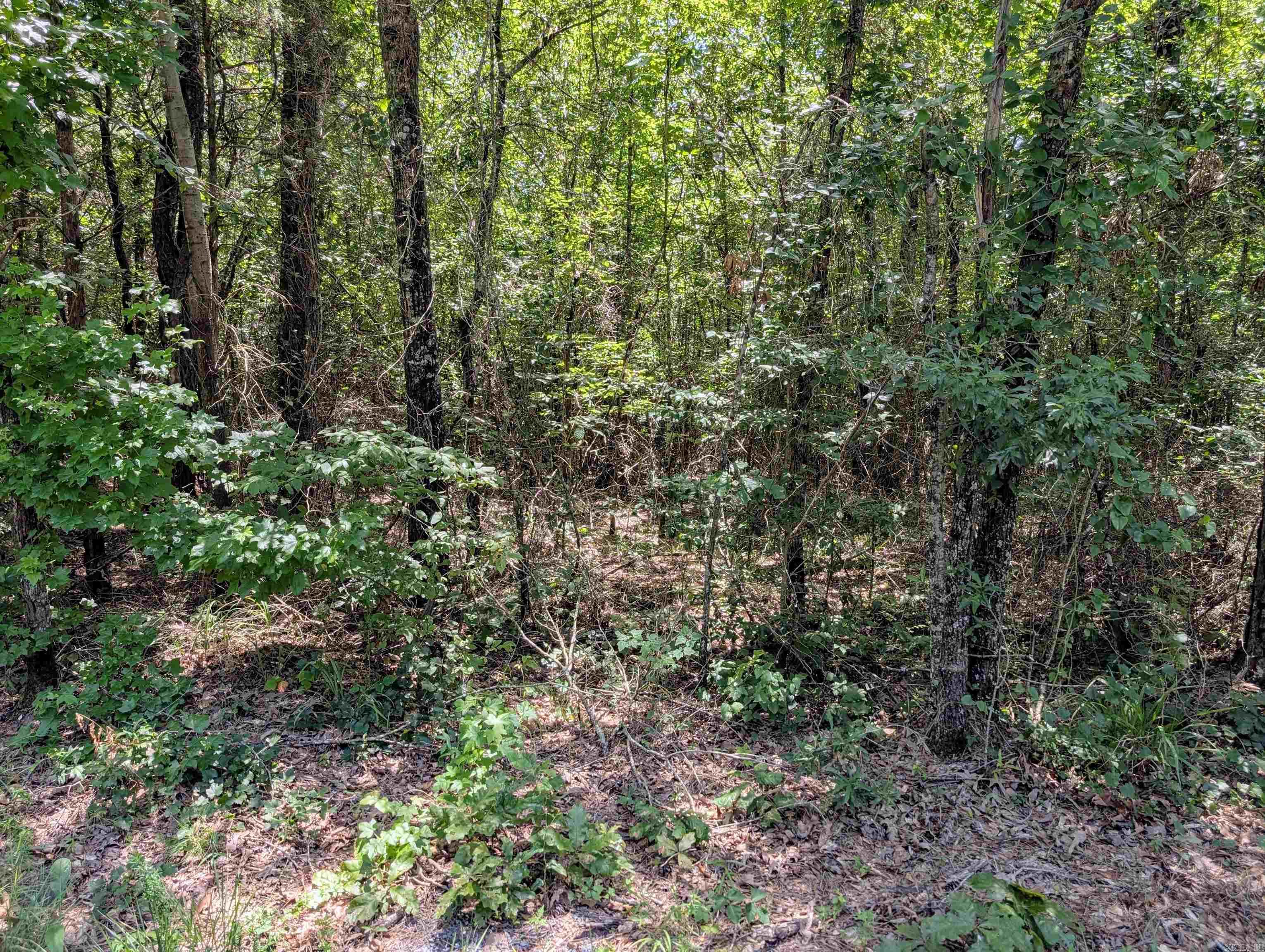 Unk Polk Road 48 and Polk 95  Mena, AR