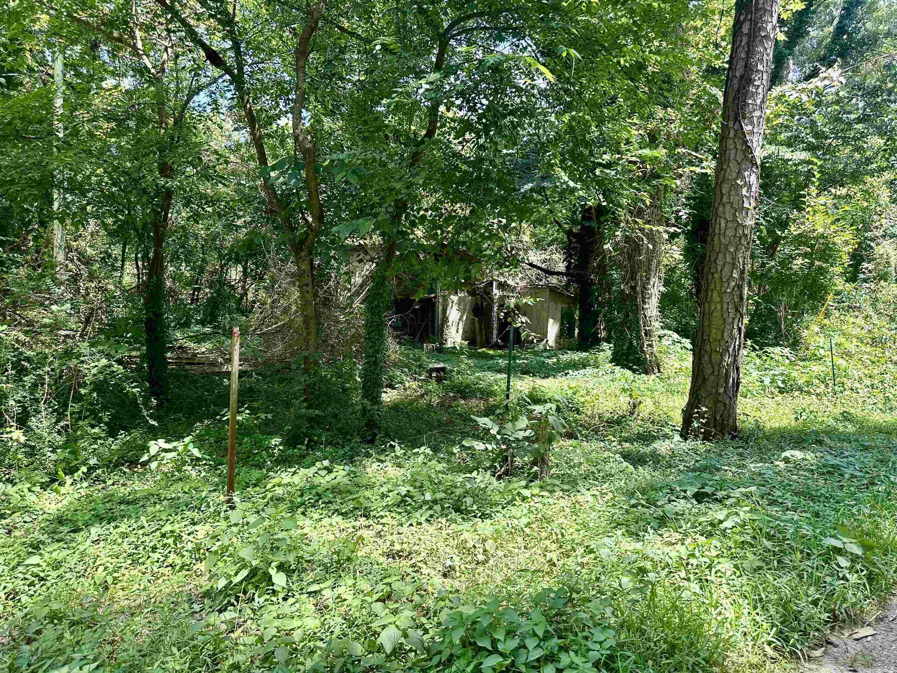 102 Walnut  Glenwood, AR
