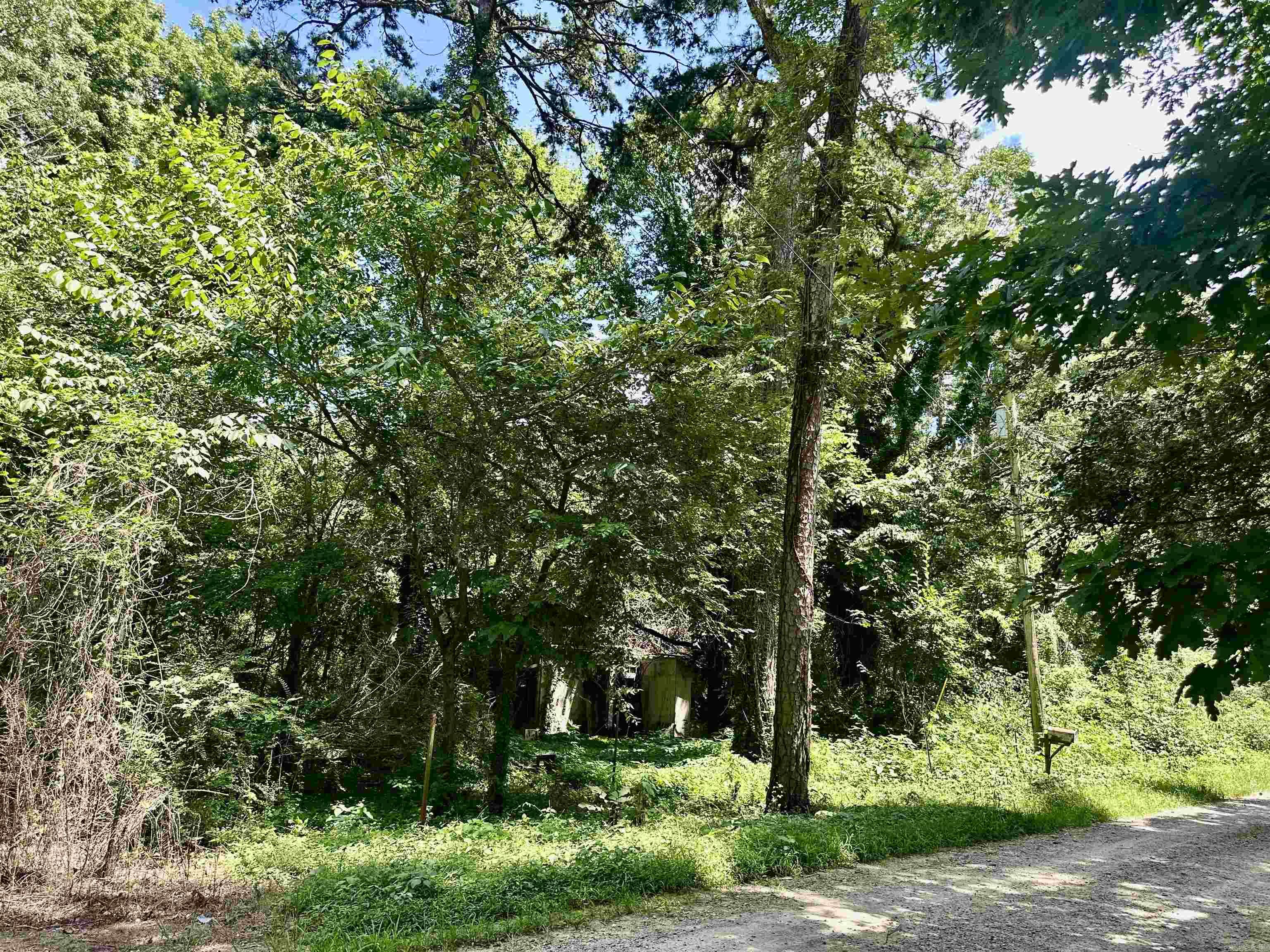 102 Walnut  Glenwood, AR