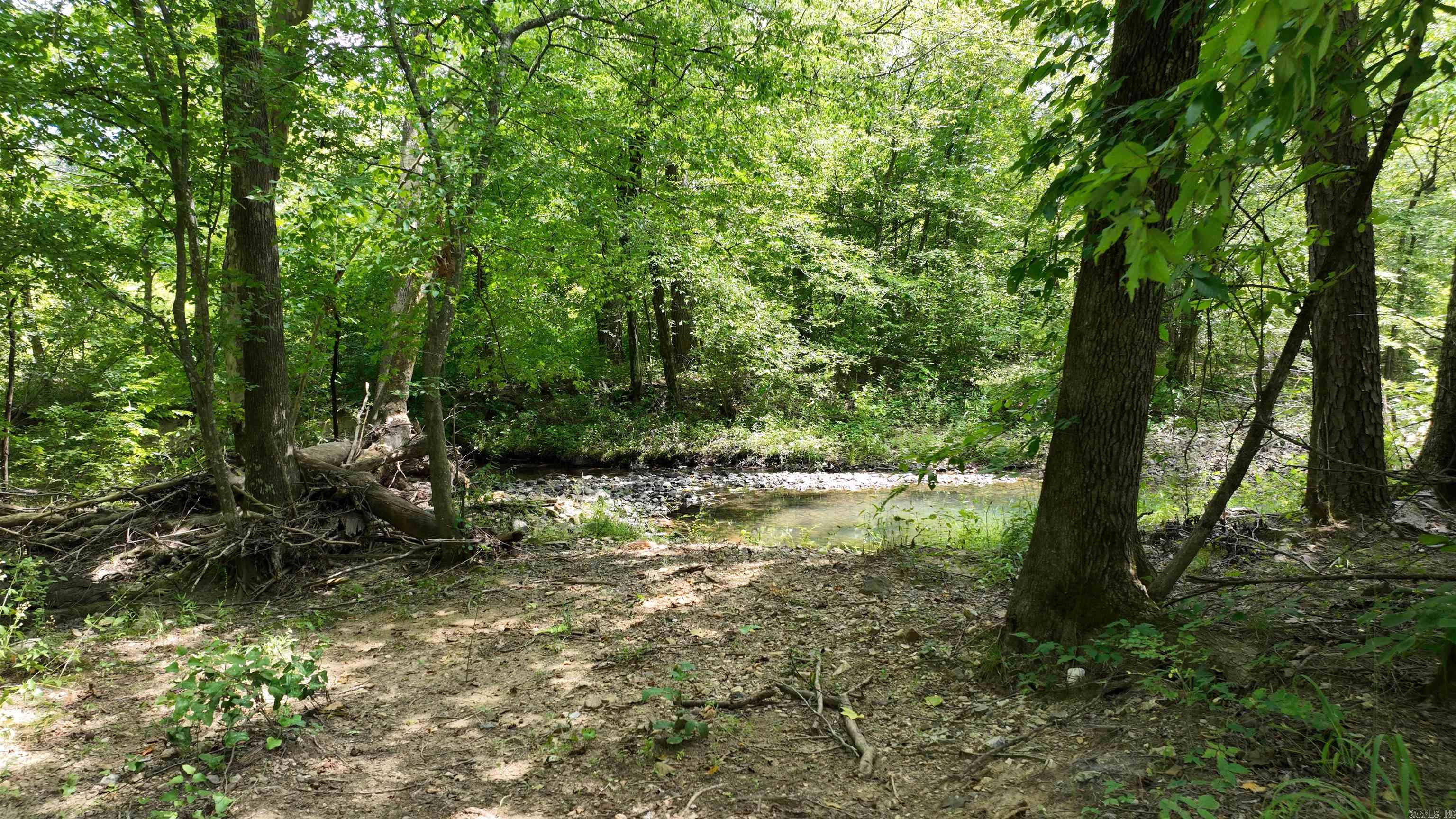 116 Polk Road 55  Mena, AR