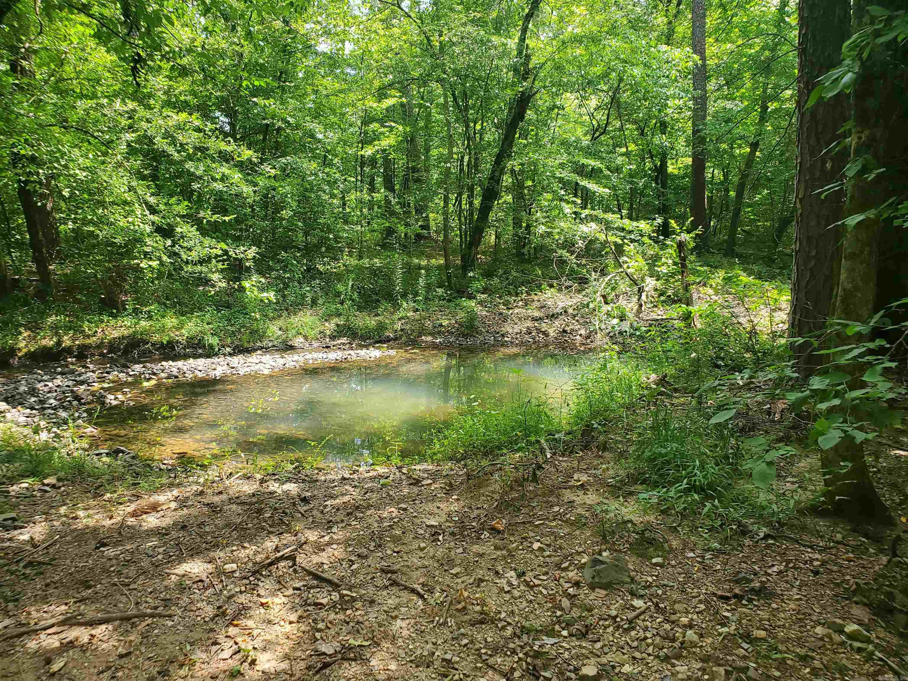 116 Polk Road 55 Mena, AR 71953
