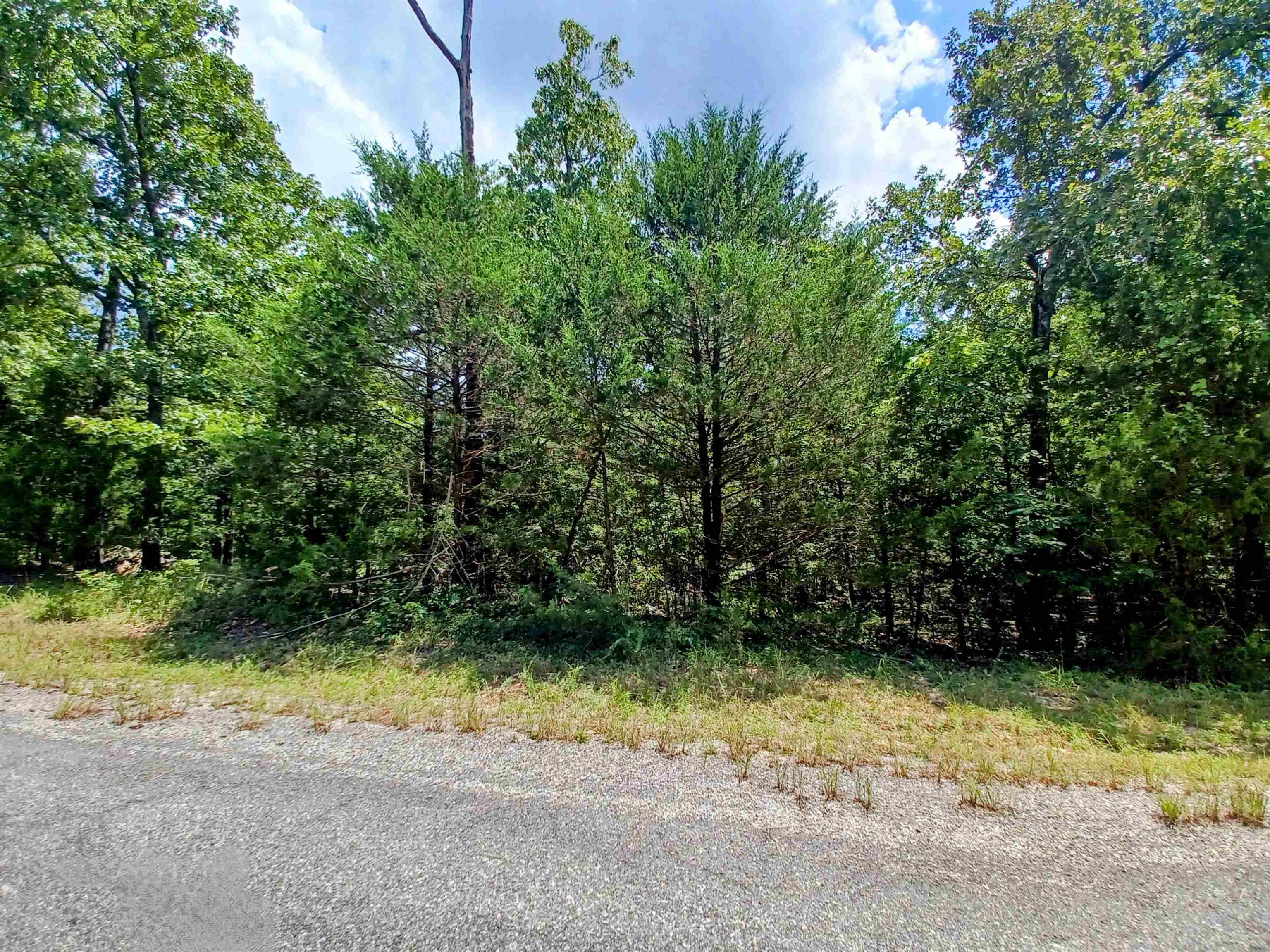 901 Primrose  Horseshoe Bend, AR